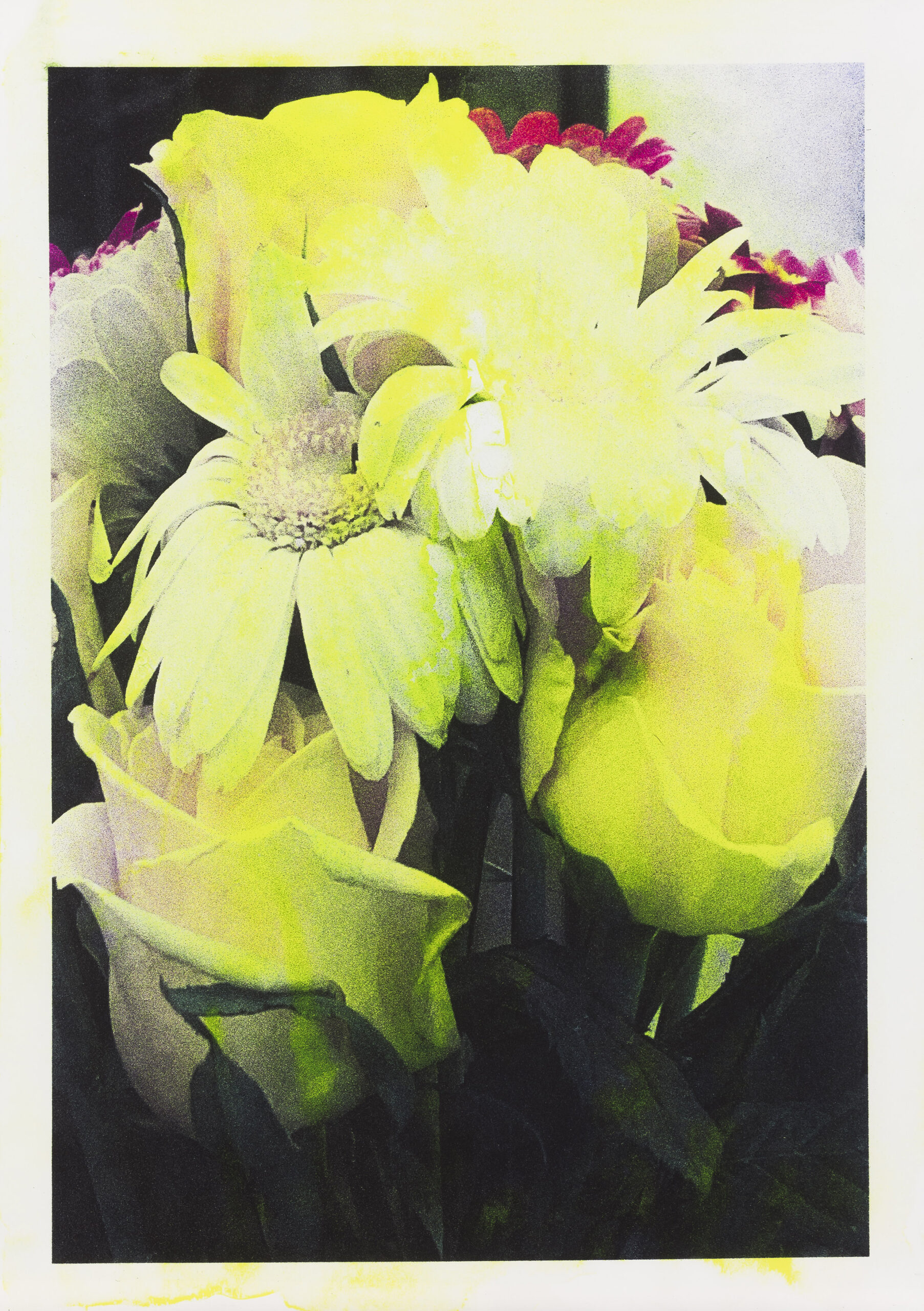 Asiana Jurca Avci: Neon Daisy + Rose