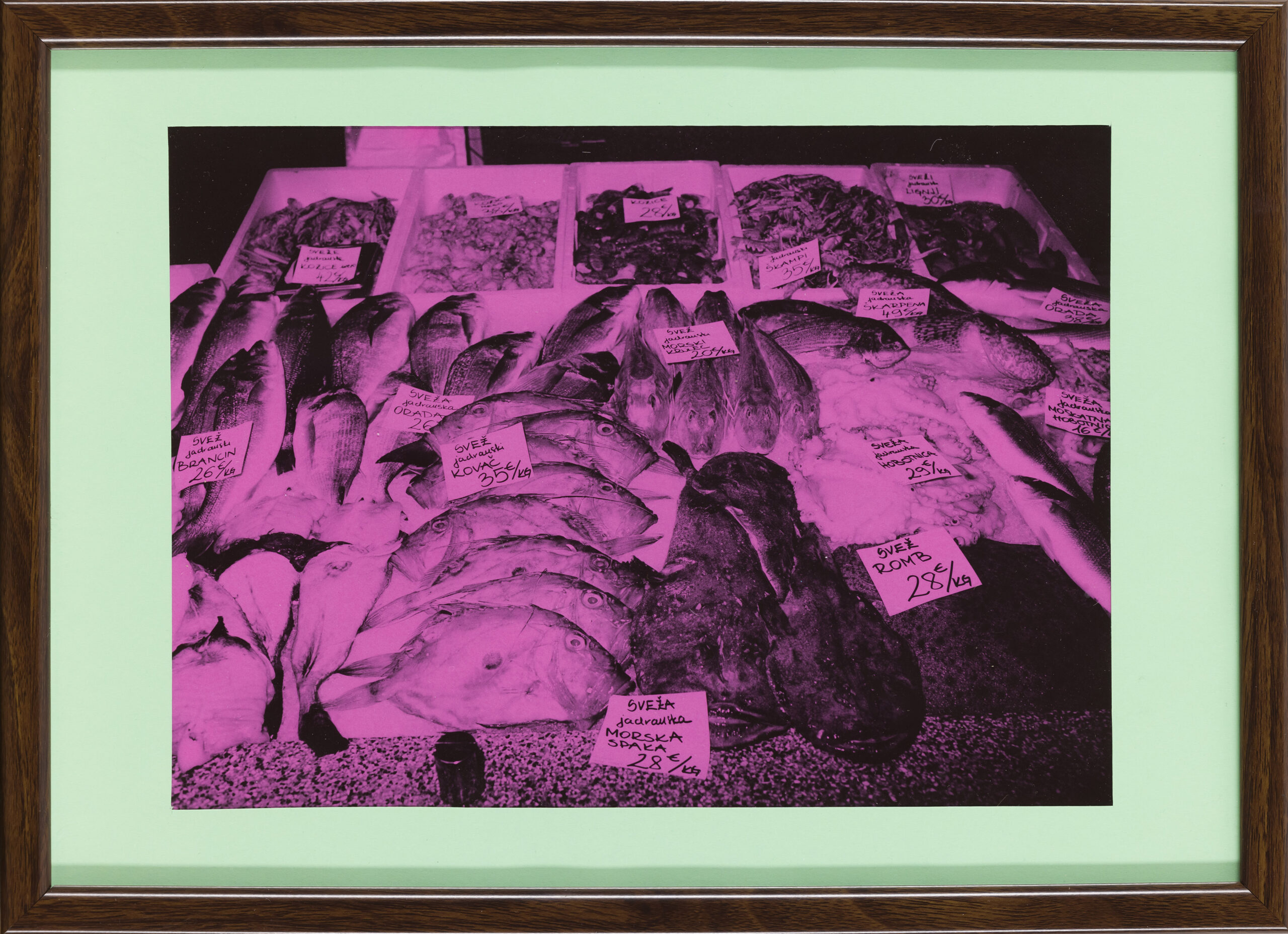 Jernej Strmšek: Ribe, ki so sveže