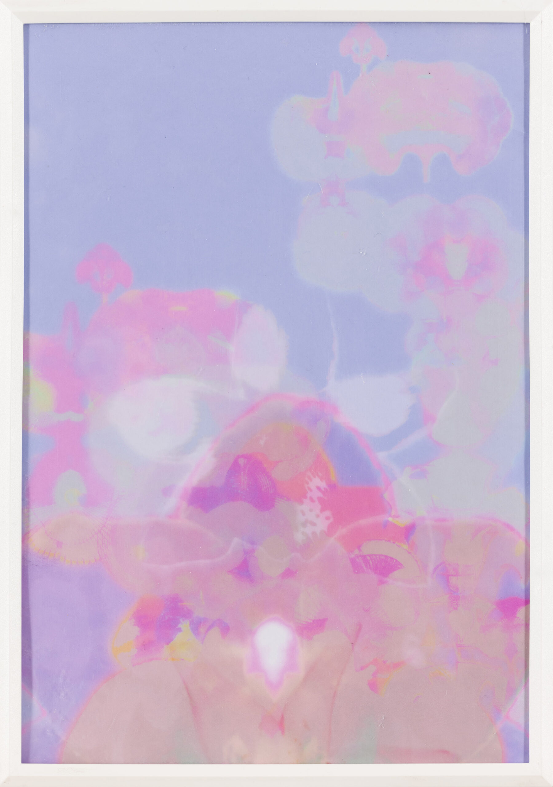 Jovana Tesić in Aleksandra Davinić: Vizualni dialog skozi prosojnost, del serije 404 (z okvirjem)