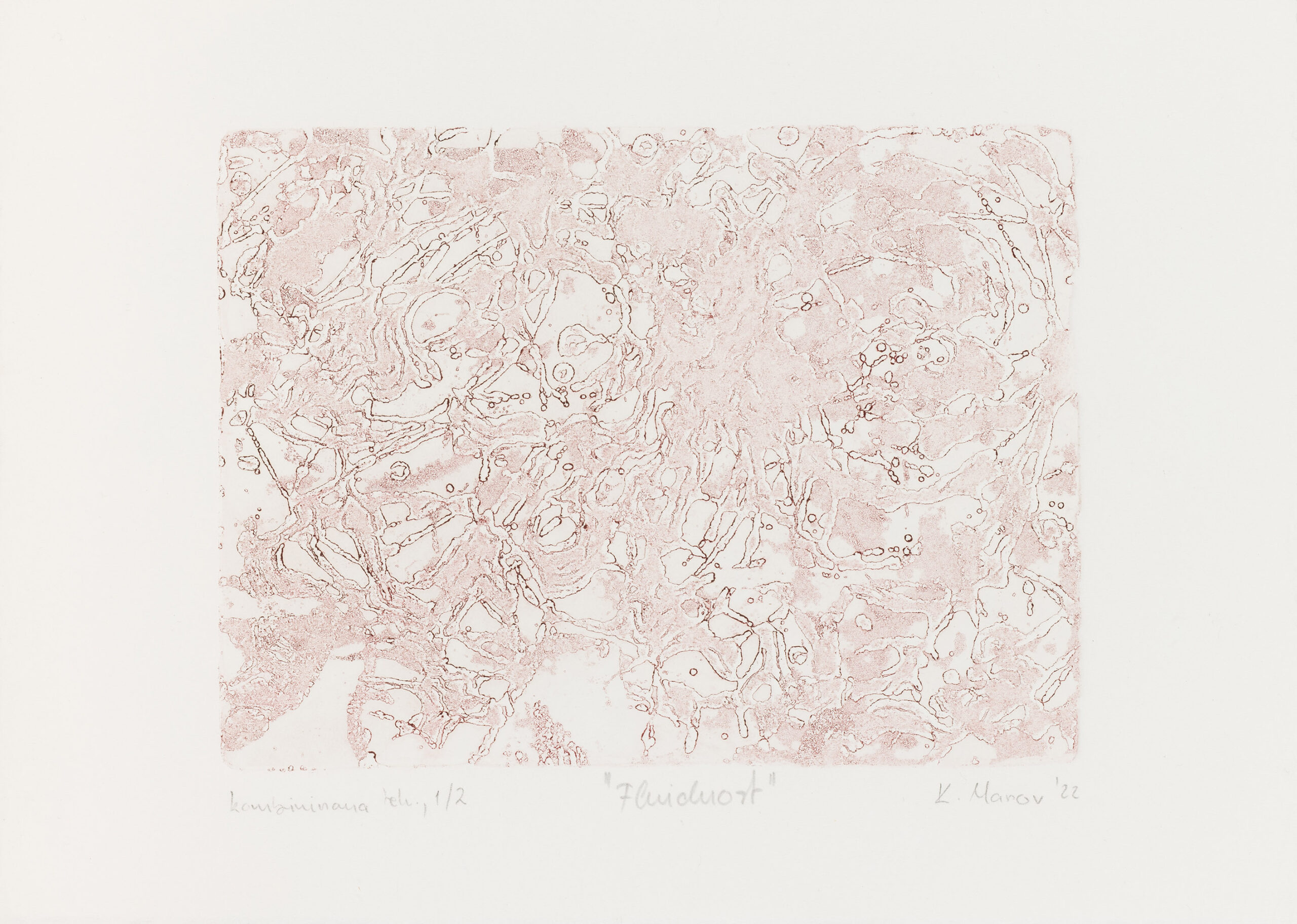 Katarina Marov: Fluidnost (IV.)