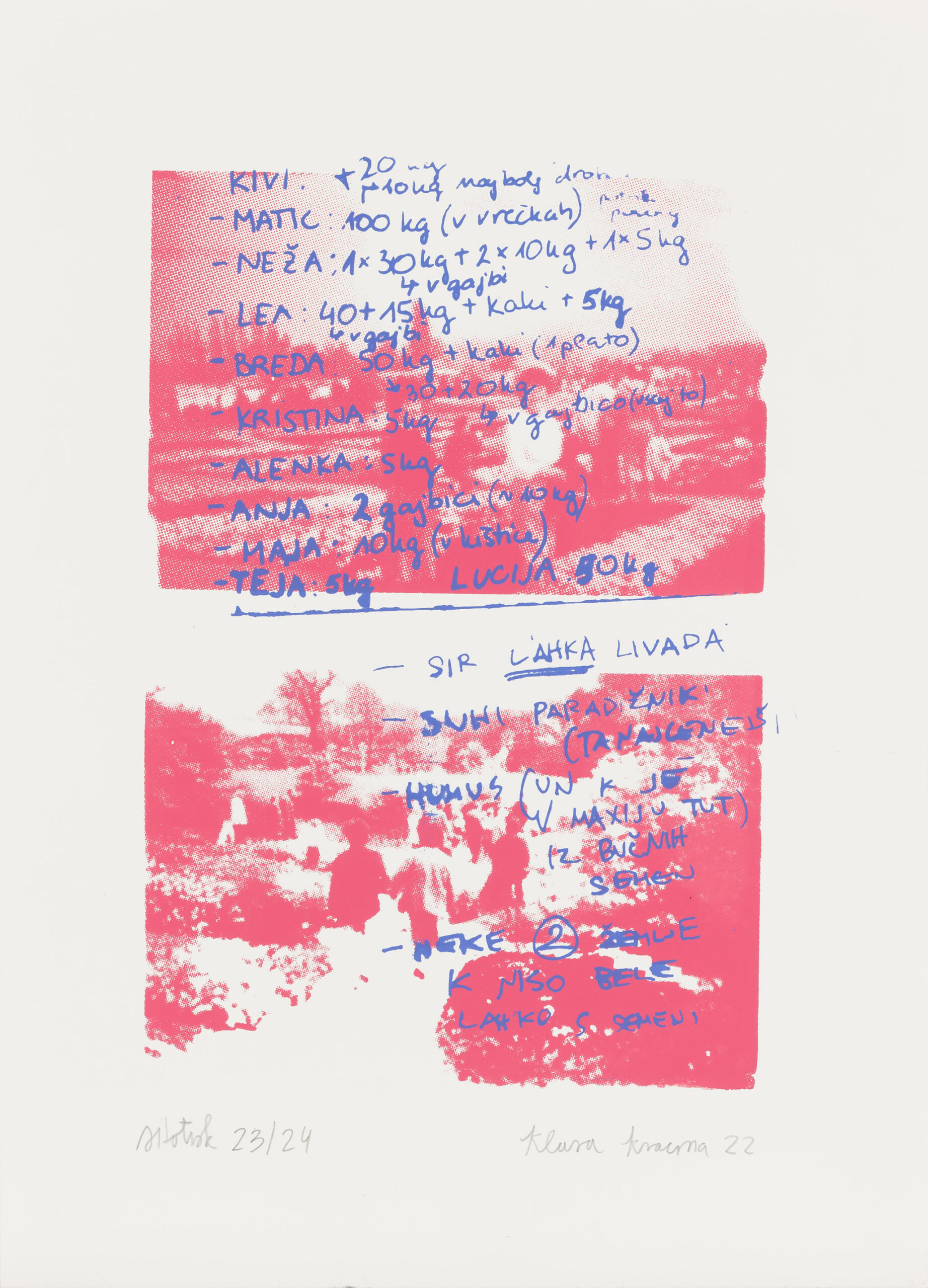 Klara Kracina: Kivi 20kg