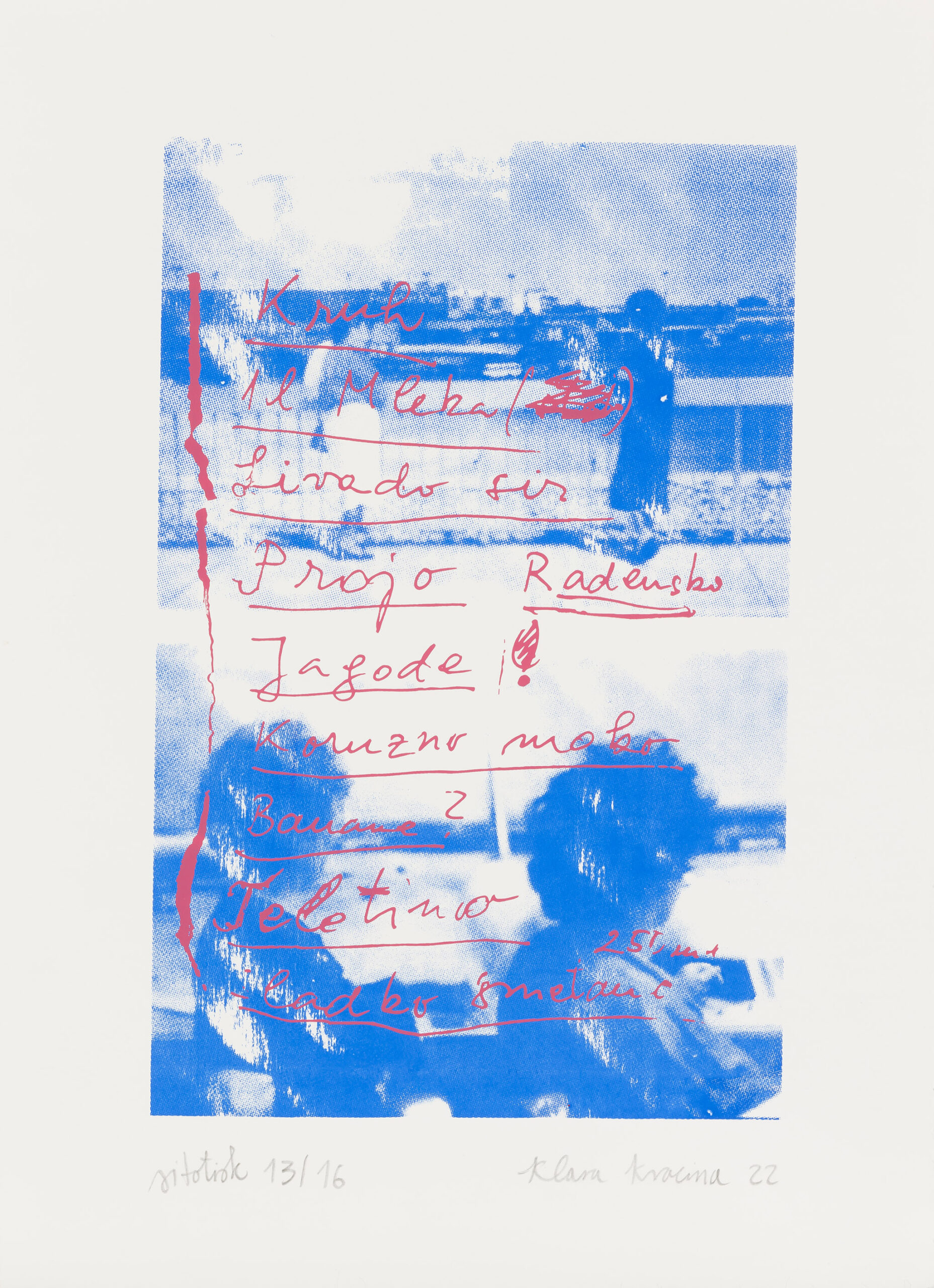 Klara Kracina: Kruh, 1L mleka, livada sir