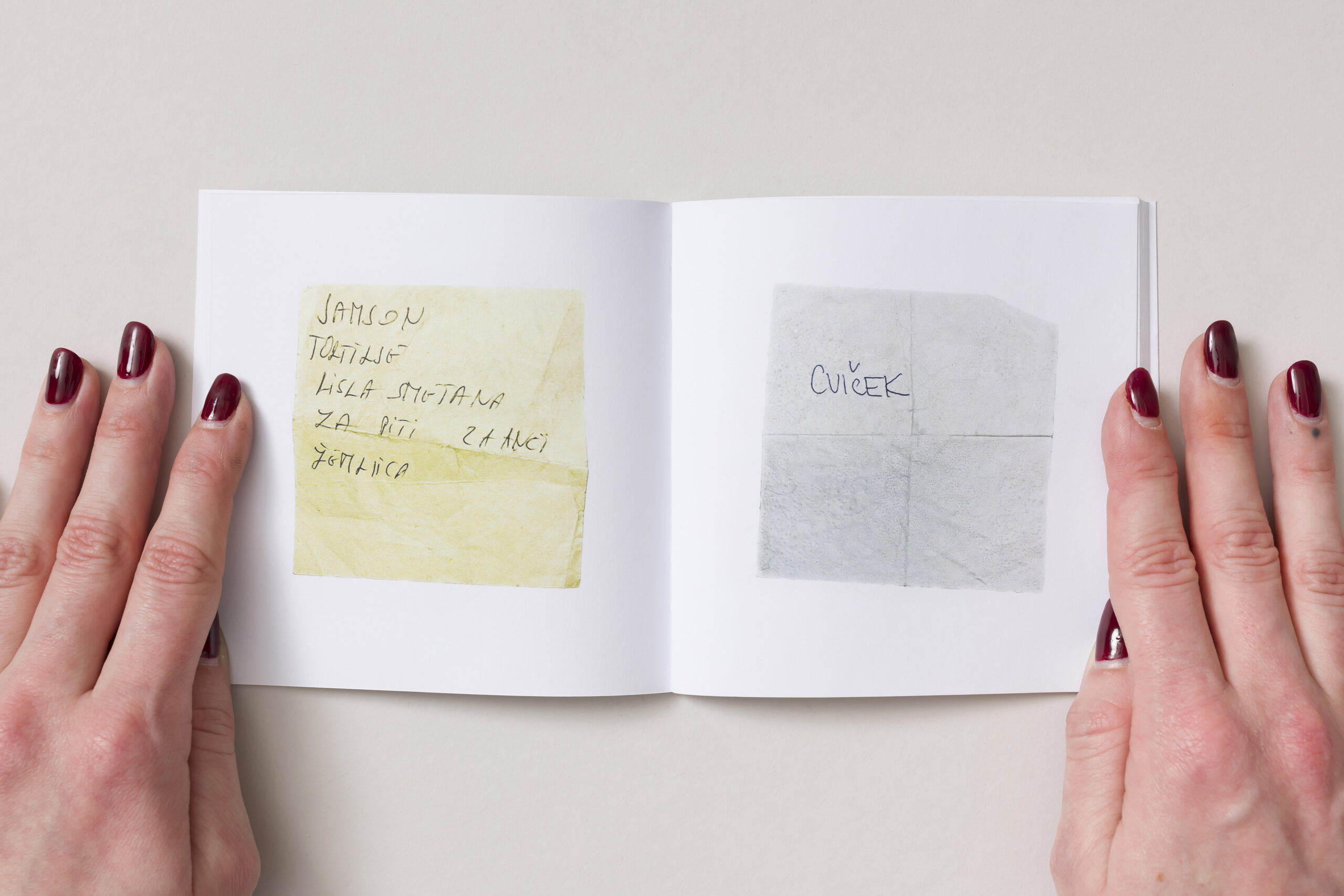 Klara Kracina: Notes