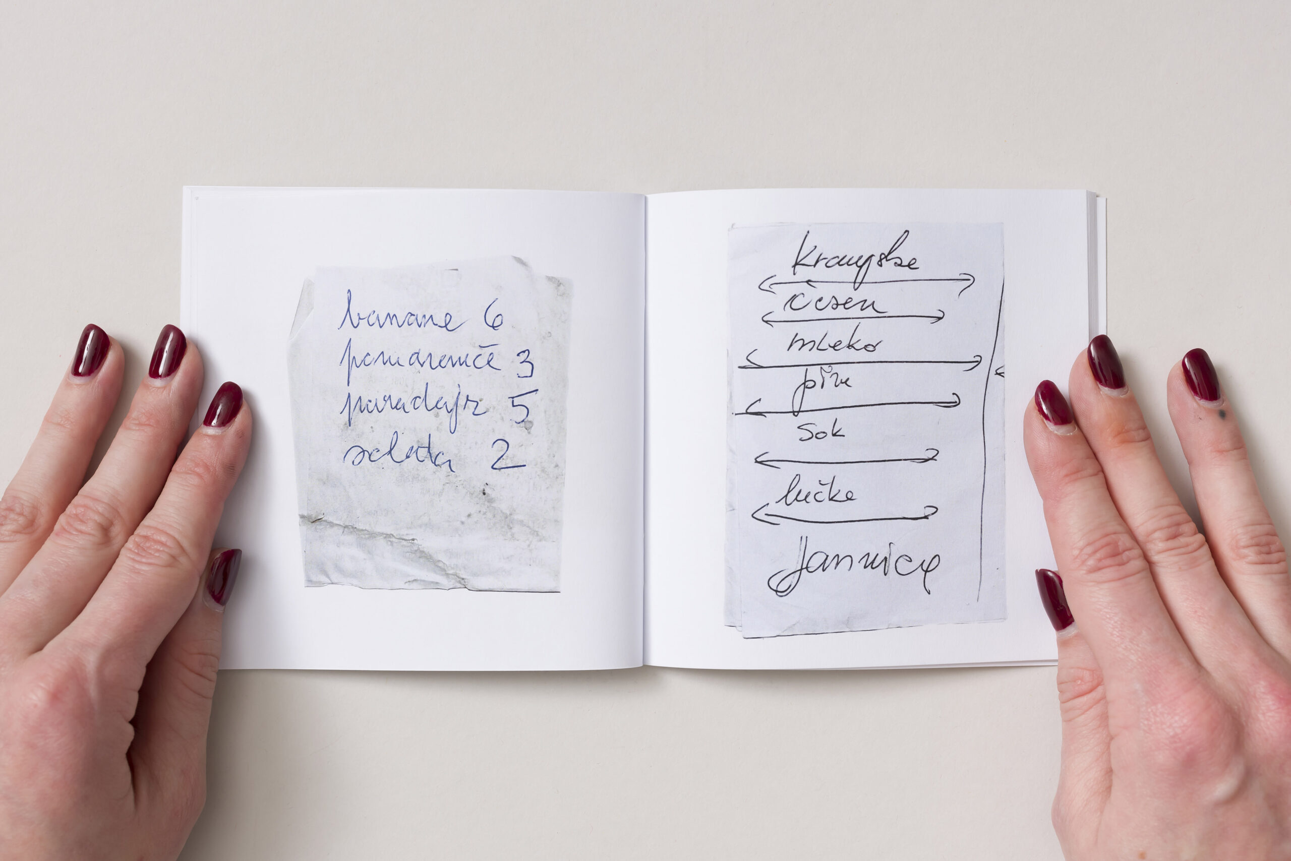 Klara Kracina: Notes