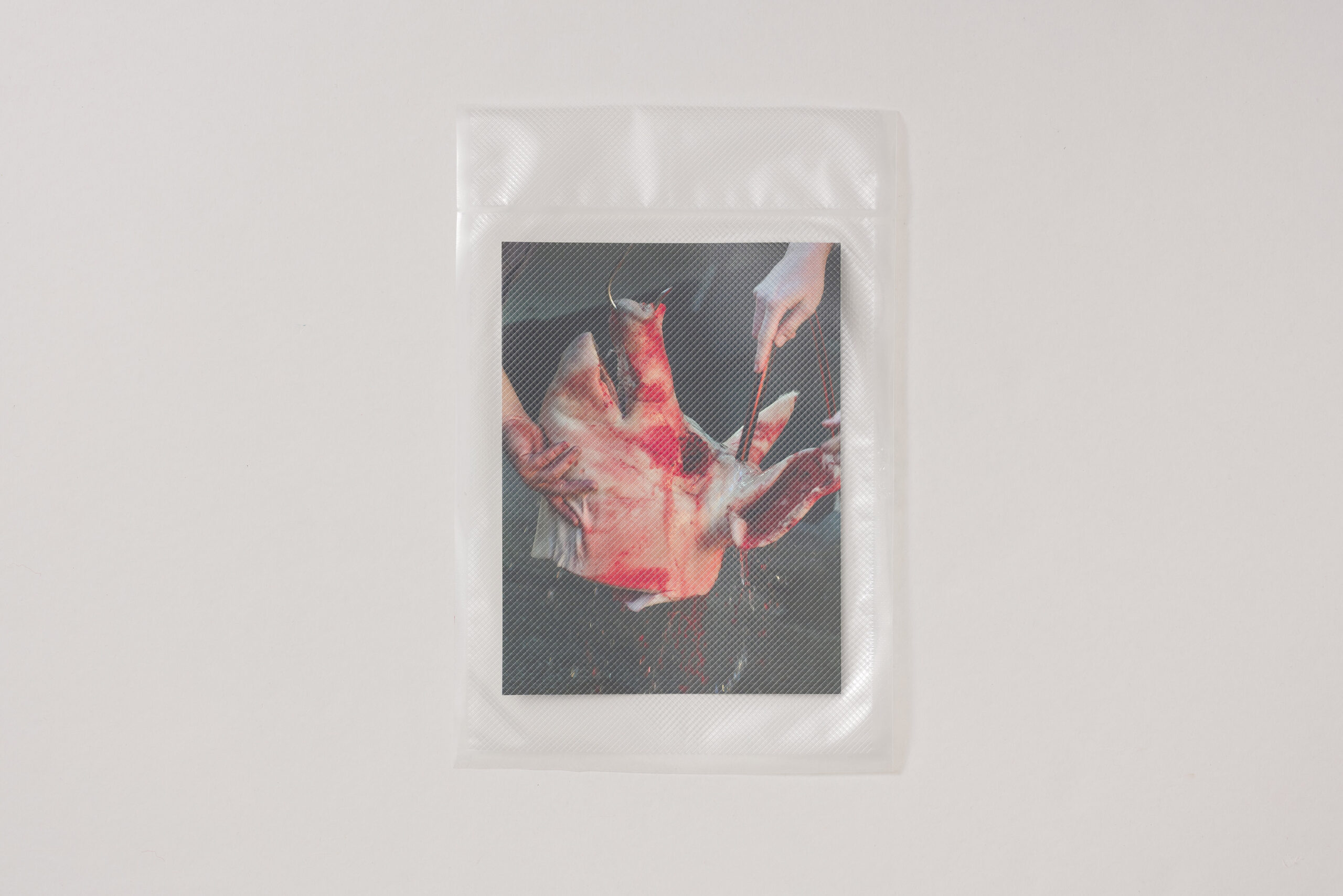 Maja Laubič: Klanje 24