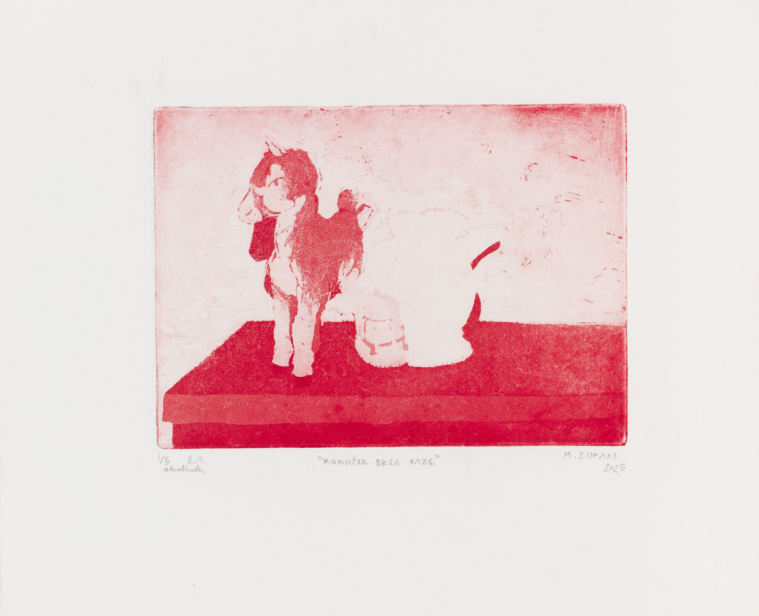 Matej Zupan: Konjiček brez vaze