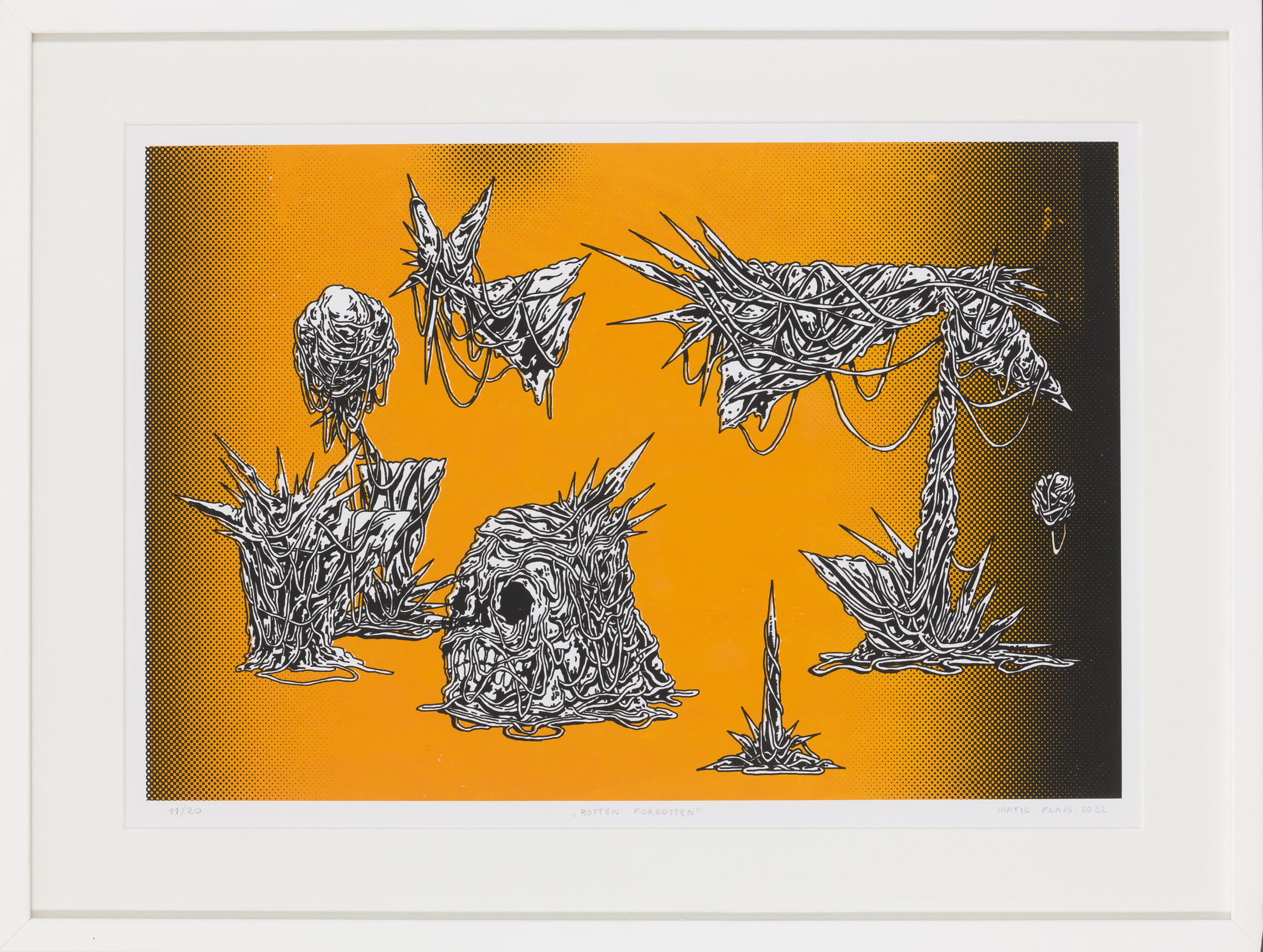 Matic Flajs: Rotten Forgotten (z okvirjem)