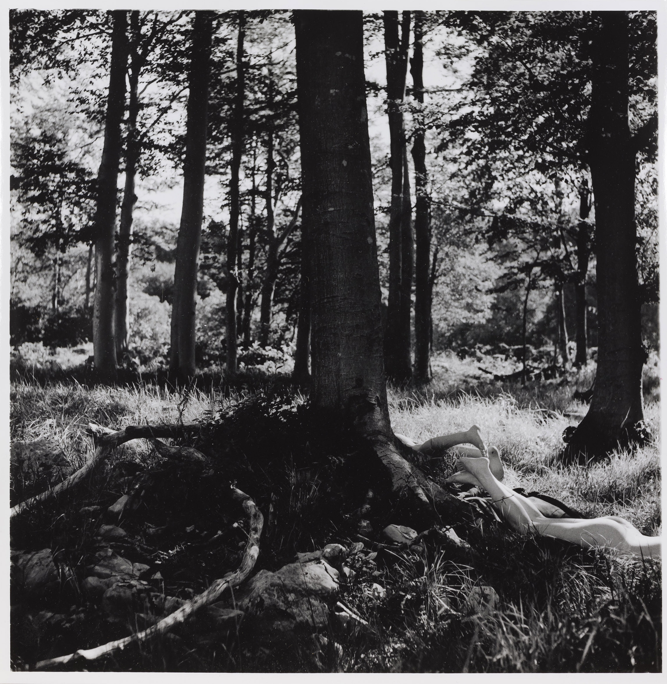 Patricija Zupanič: Z drevesom in telesom #10