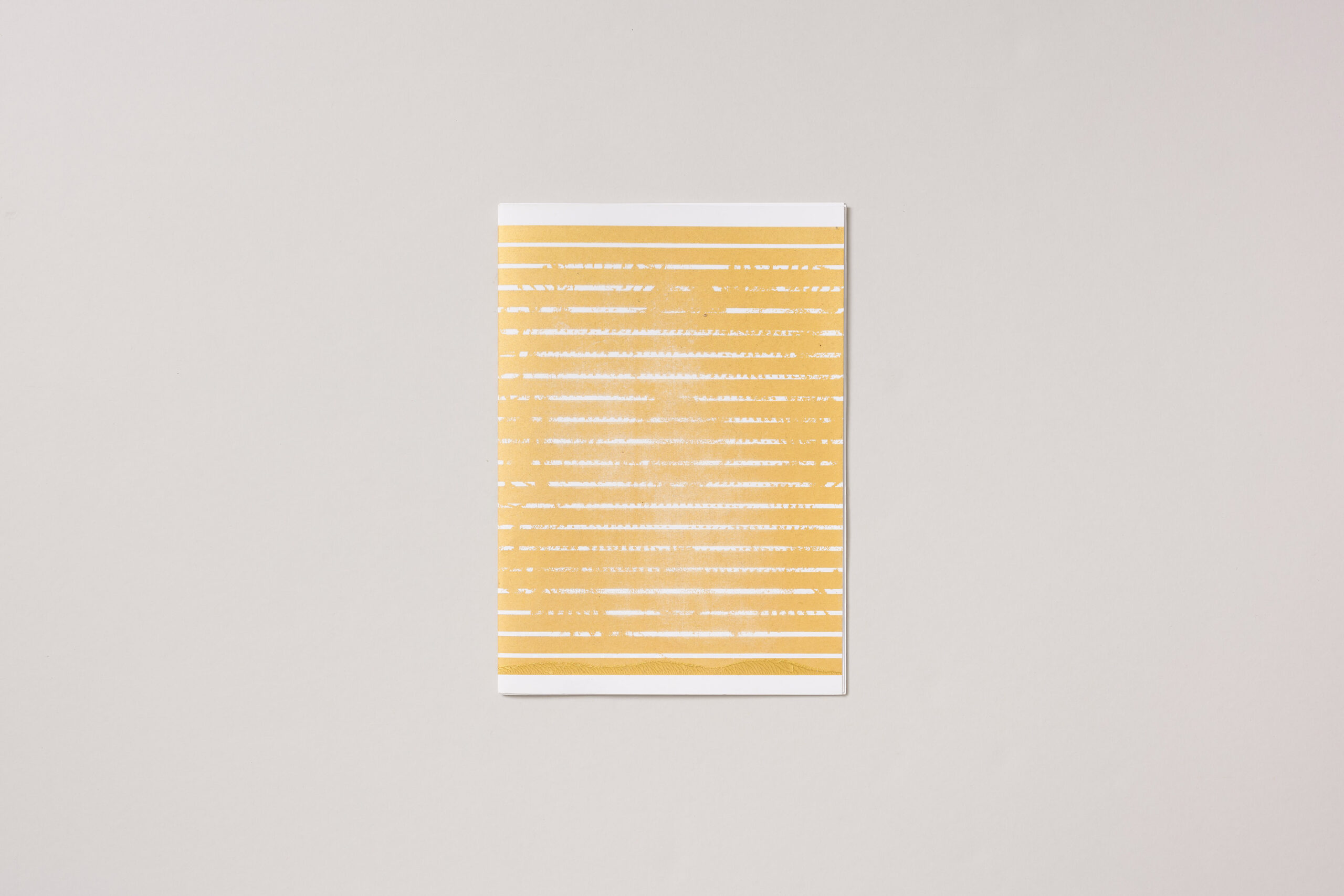 Vanja Mervič: Topografije vsakdana