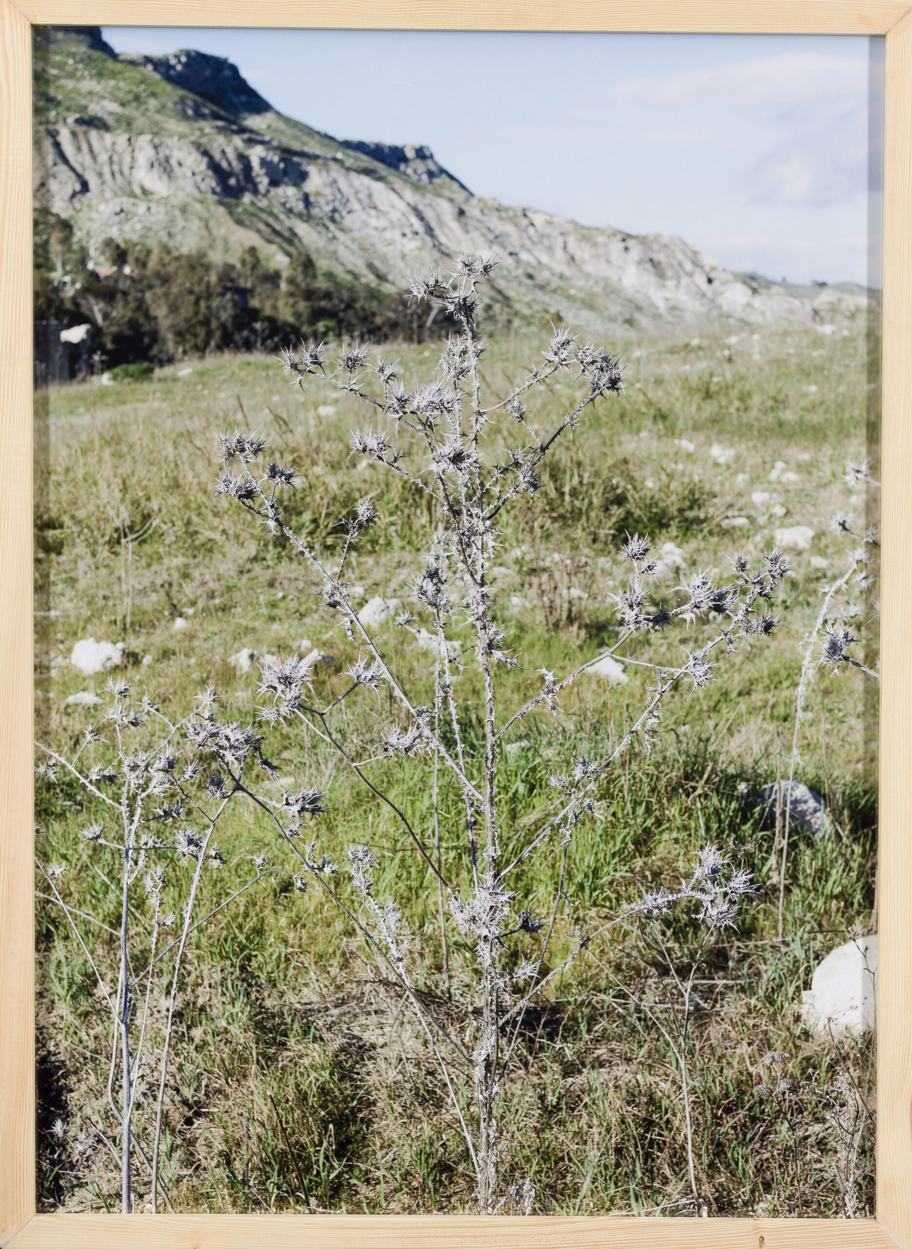 Markus Röder: Undisclosed location 10 (z okvirjem)