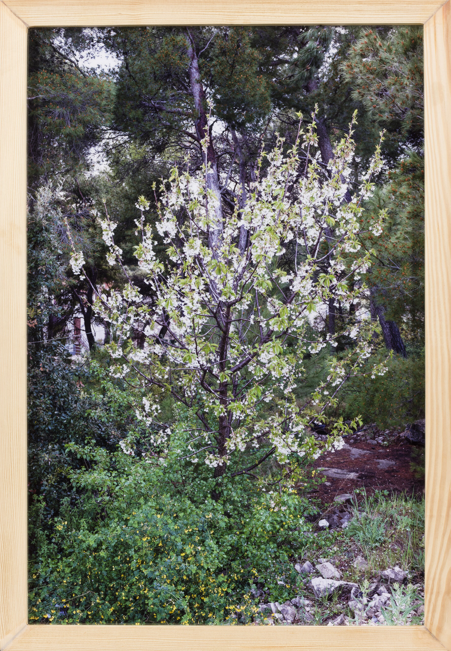 Markus Röder: Undisclosed location 7 (z okvirjem)