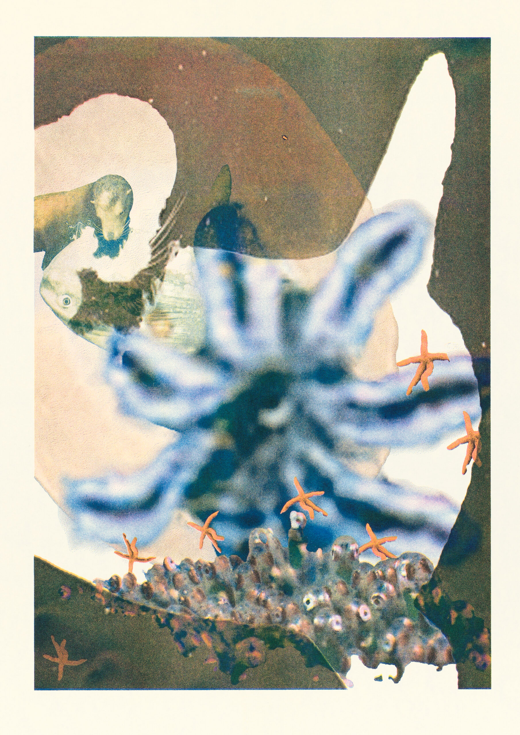 Isidora Todorić x Use Knife (appointMENT 9.0)