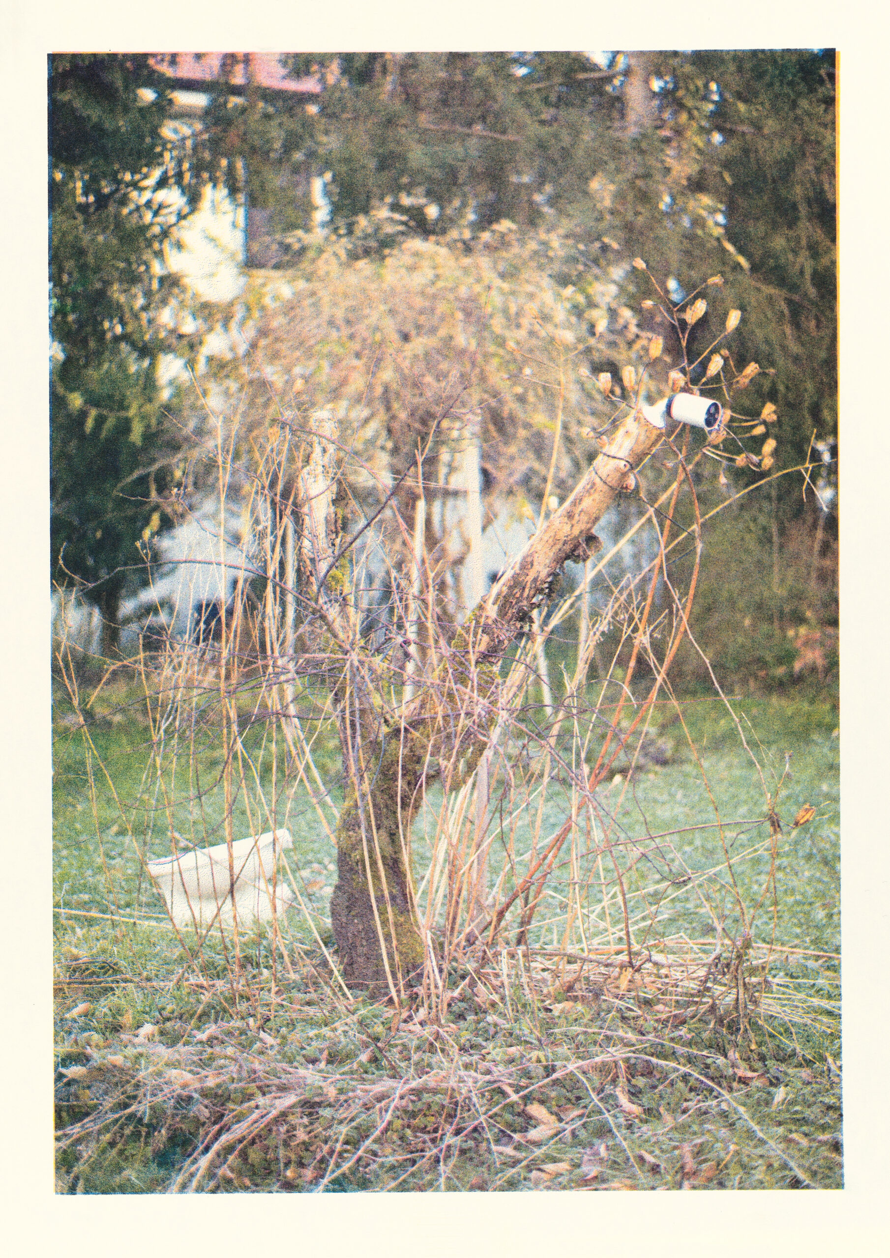 Mario Karlovčec x Tramhaus (appointMENT 9.0)