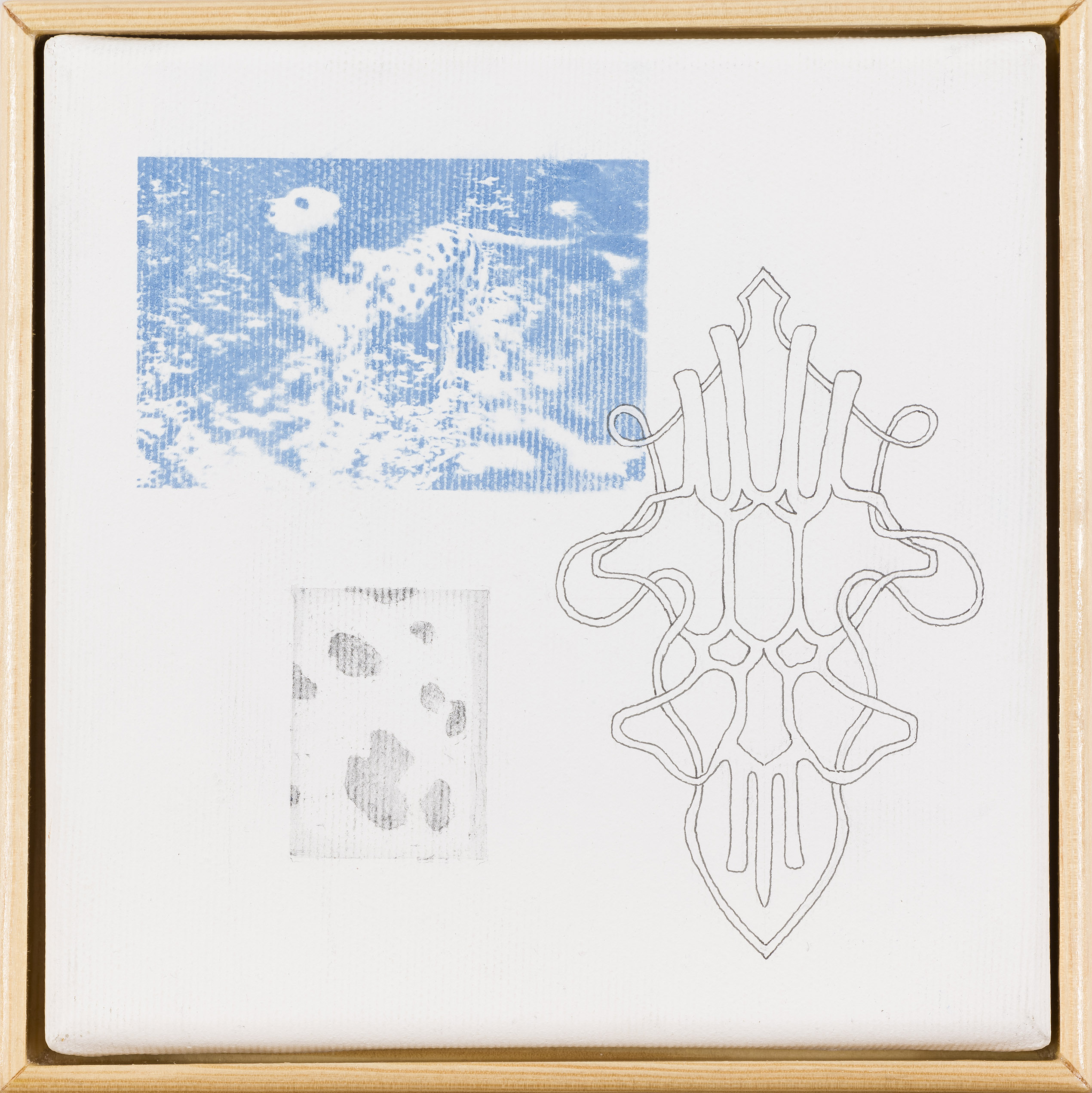 Tara Kek: Pega (z okvirjem)