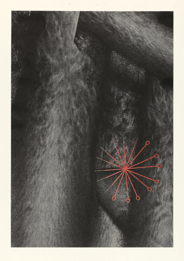 Žiga Anderlič x Obscur (appointMENT 9.0)