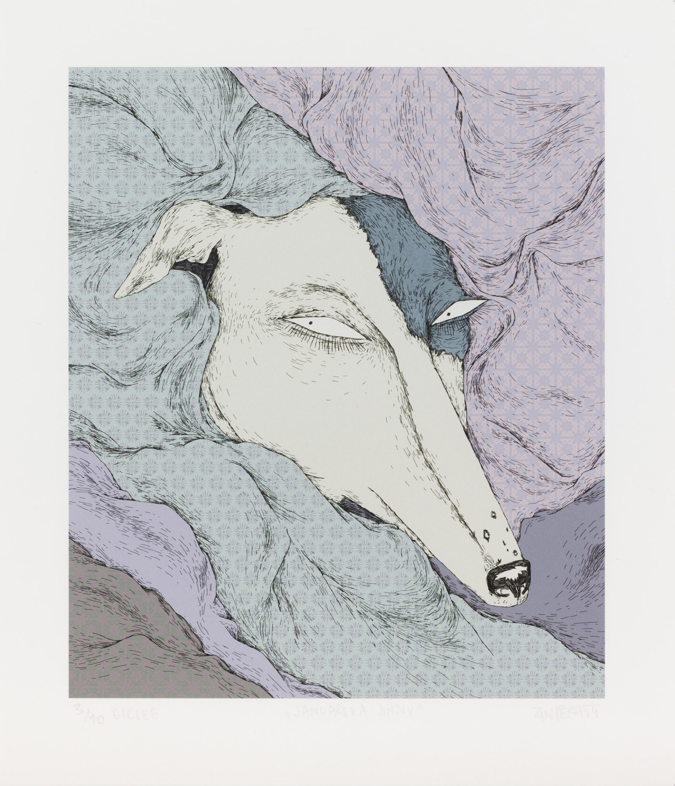 Zunipera: Januarska Jinny