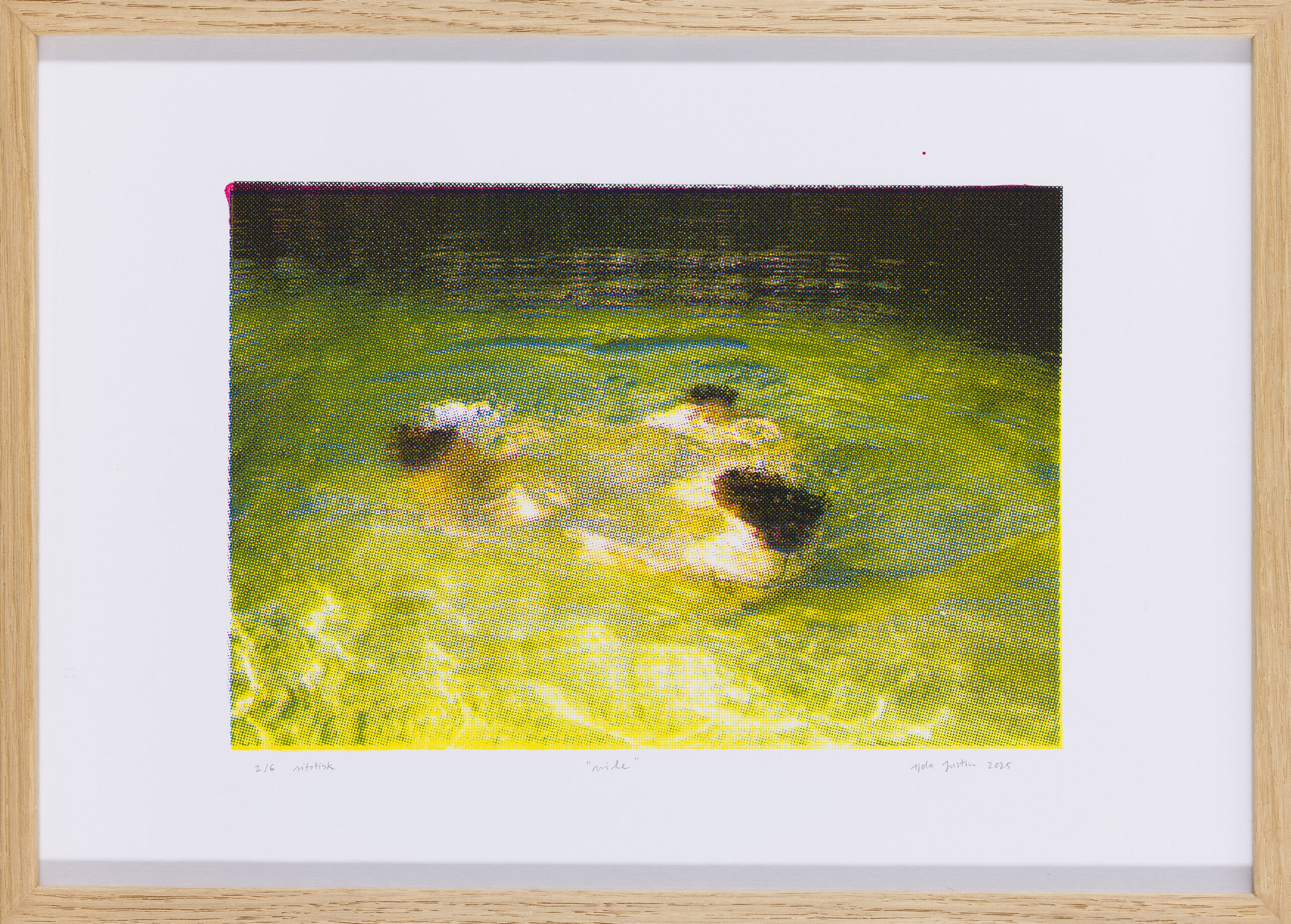 Ajda Justin: VILE (z okvirjem)