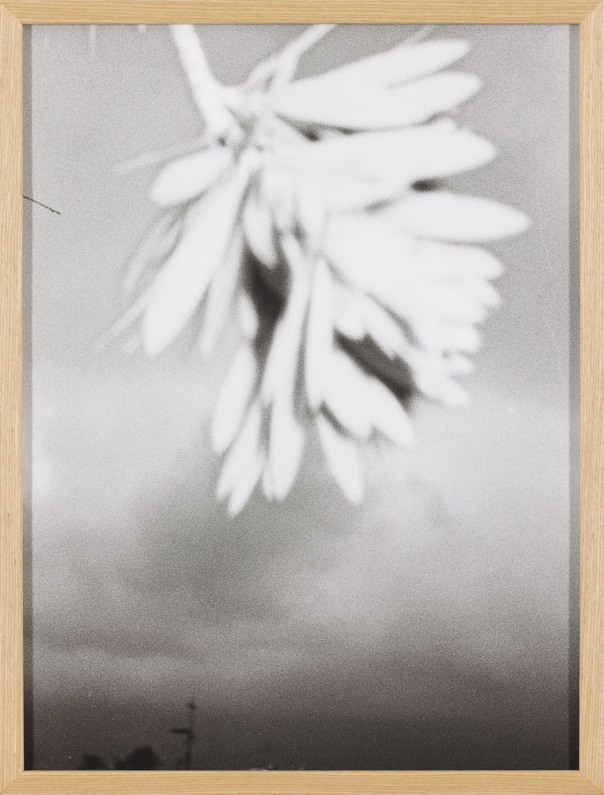 Iva Suhadolnik Gregorin: Dežuje v Altei (z okvirjem)