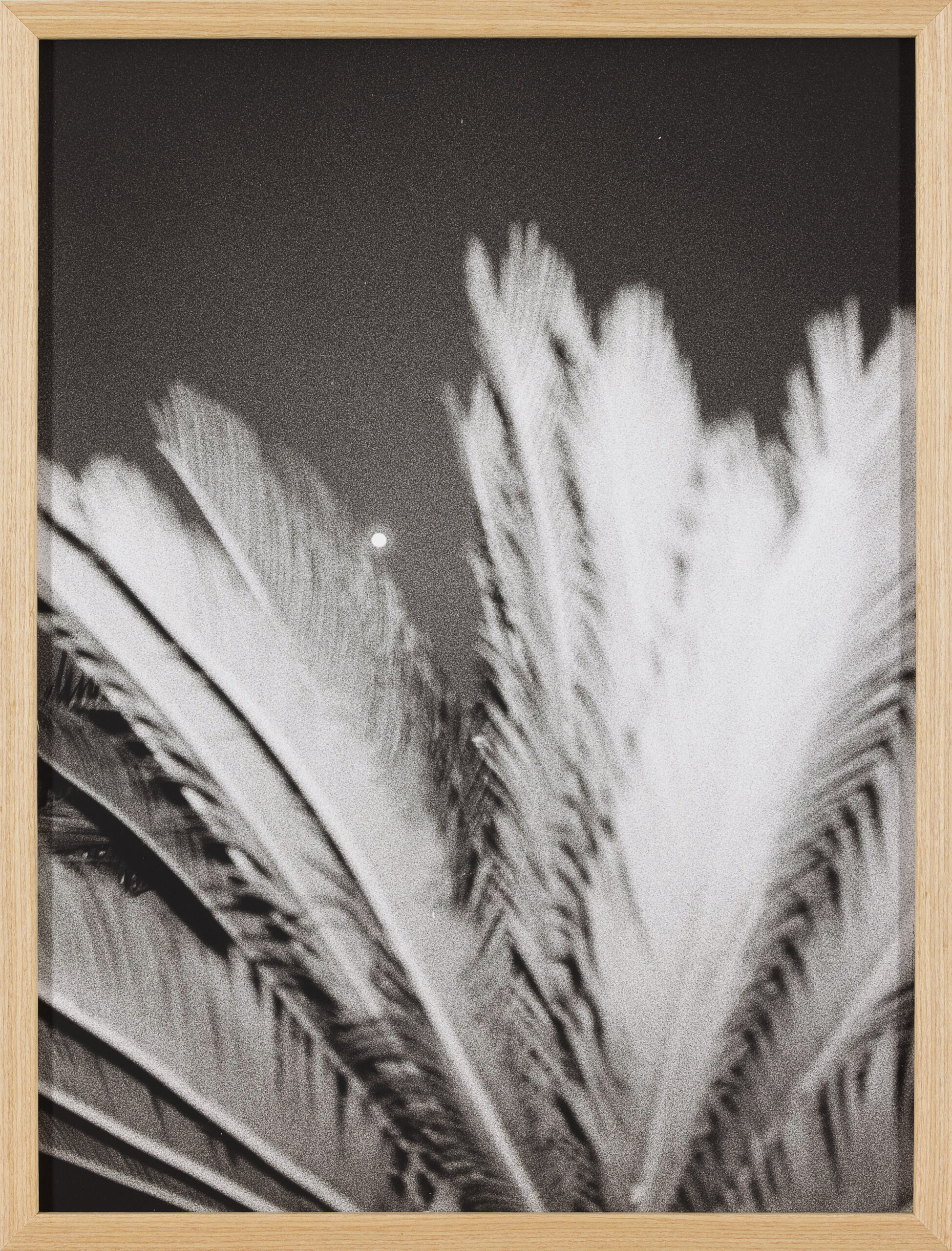 Iva Suhadolnik Gregorin: Luna je polna v Marakešu (z okvirjem)