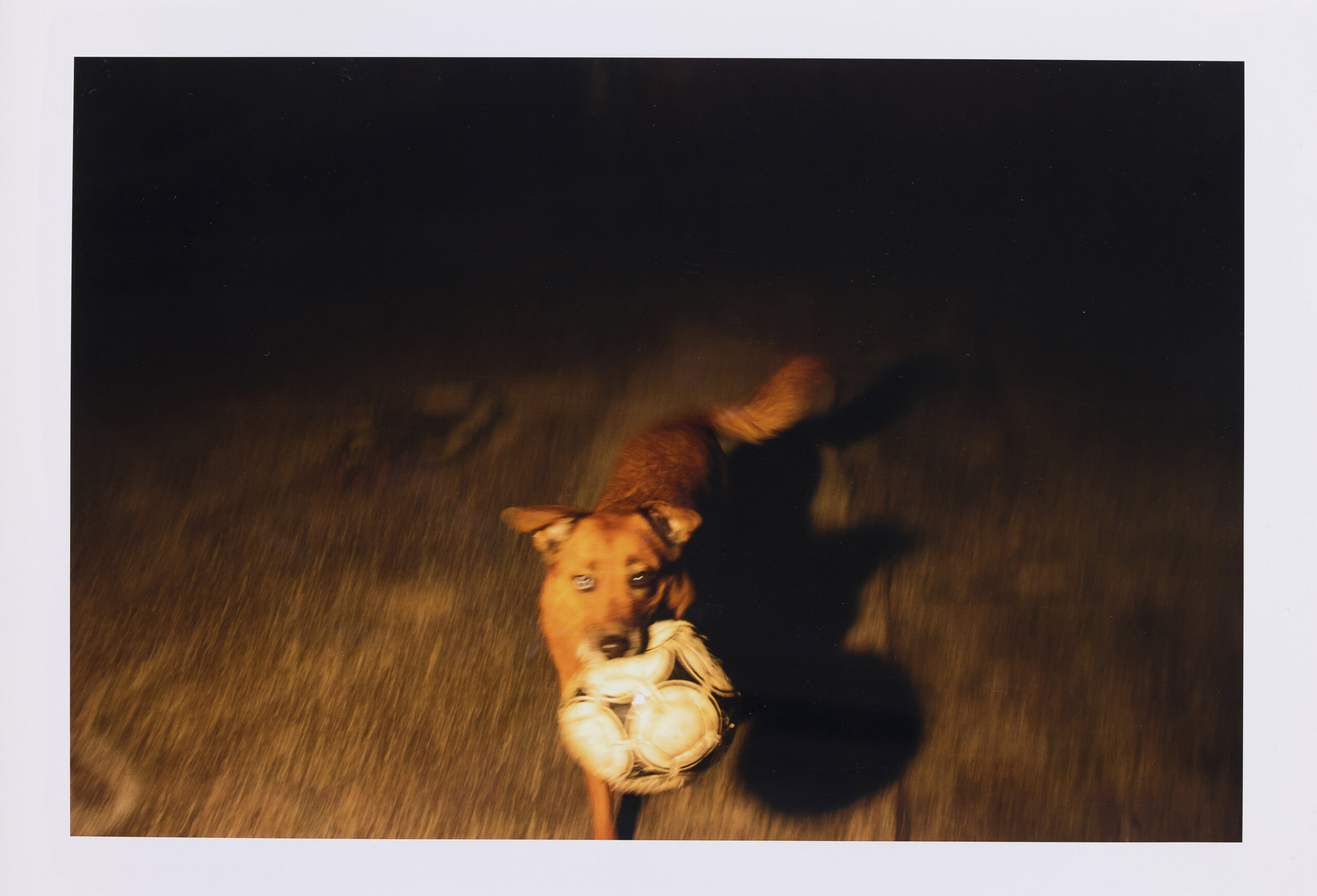 Jelena Milohanić: Playground 03