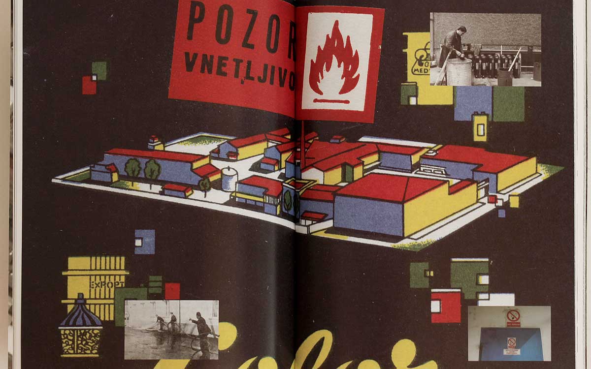 Emina Djukć: Color (Rostfrei Publishing) - slika 3