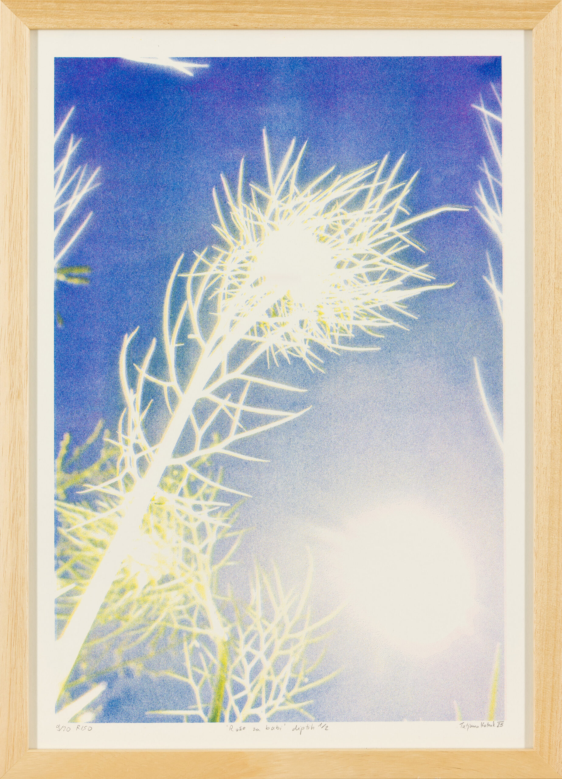 Tatjana Kotnik: Rože za babi 1/2 (z okvirjem)