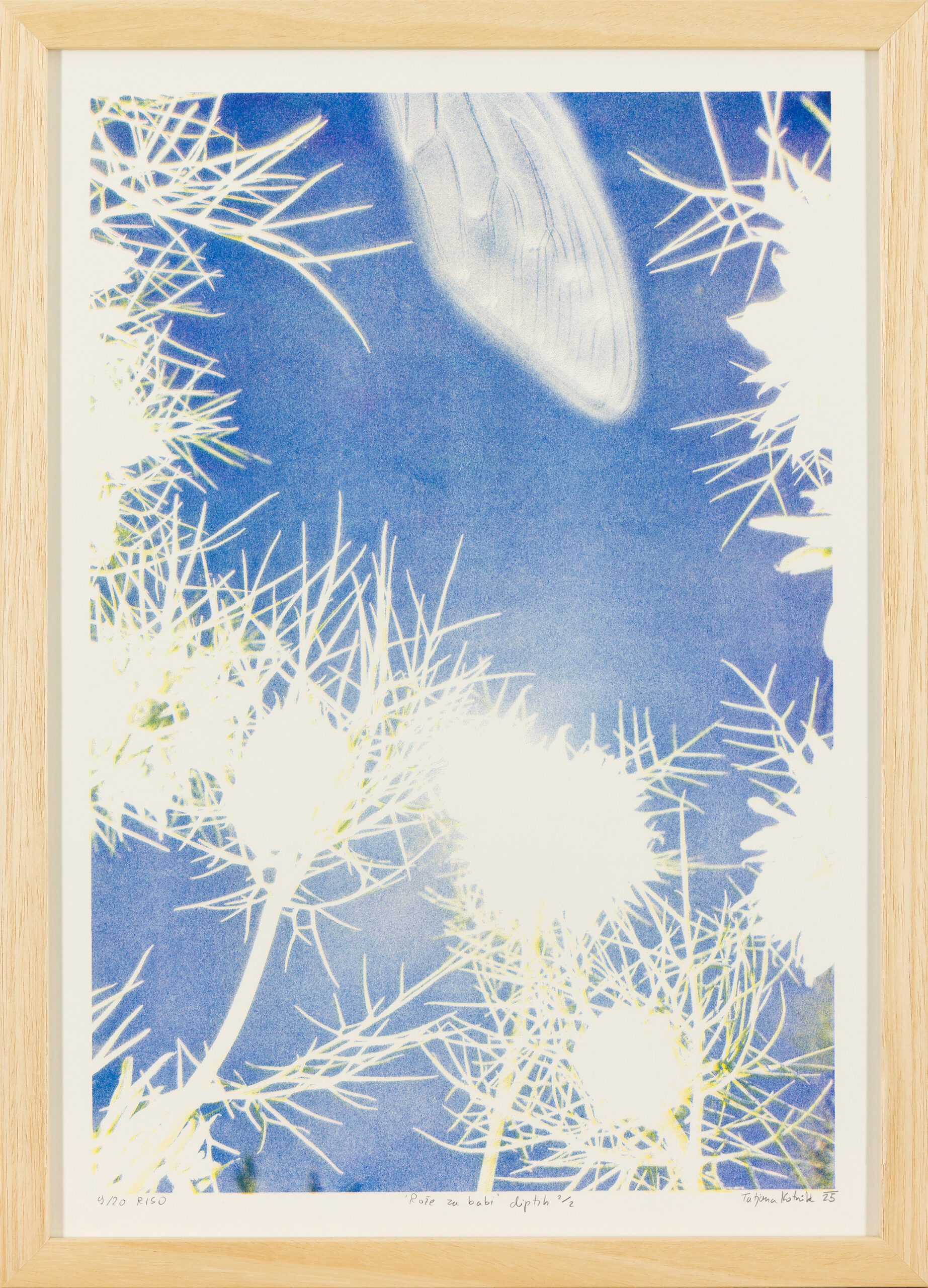 Tatjana Kotnik: Rože za babi 2/2 (z okvirjem)