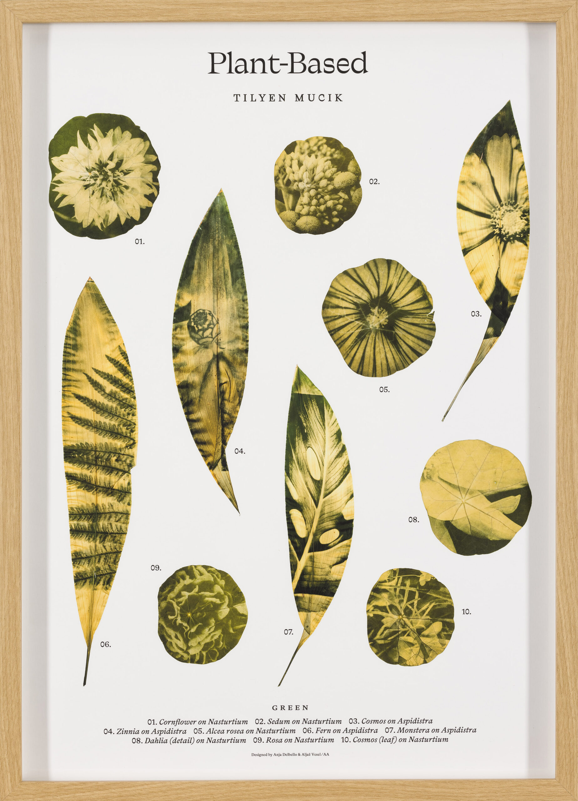 Tilyen Mucik: Rastlinsko (z okvirjem)