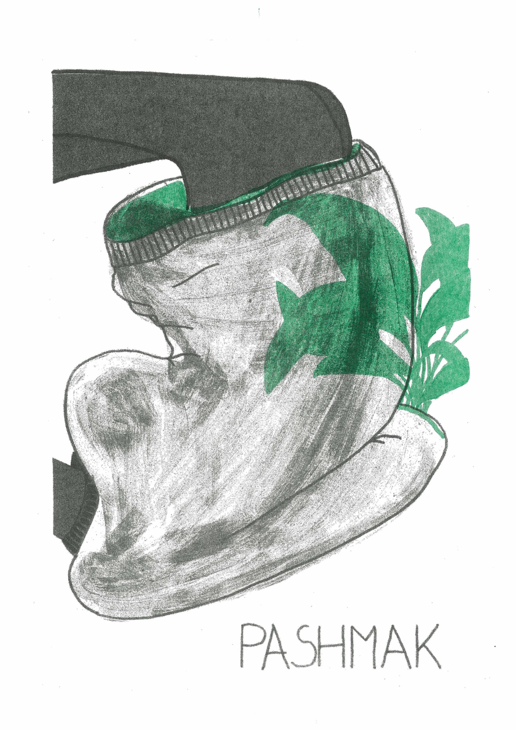 Nina Čelhar: Pashmak (AppointMENT 2.0)