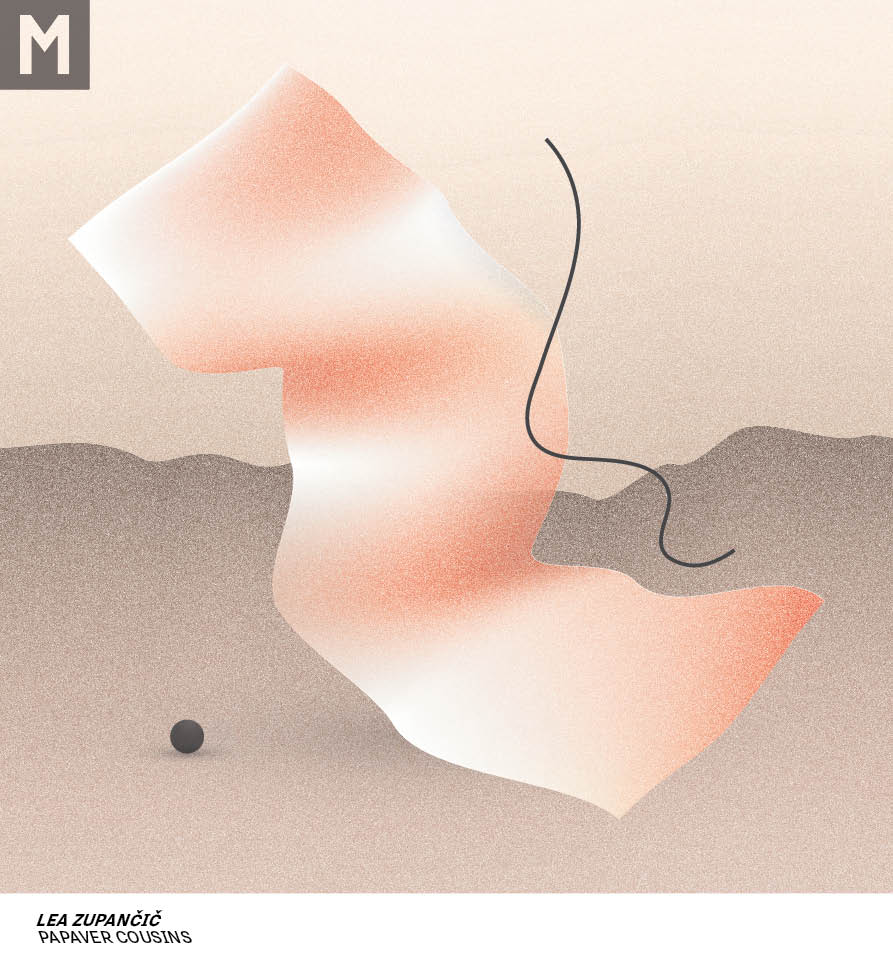 Lea Zupančič x Papaver Cousins (AppointMENT 3.0)