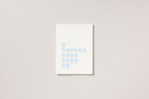 Ajda Justin: PROJEKT V NASTAJANJU