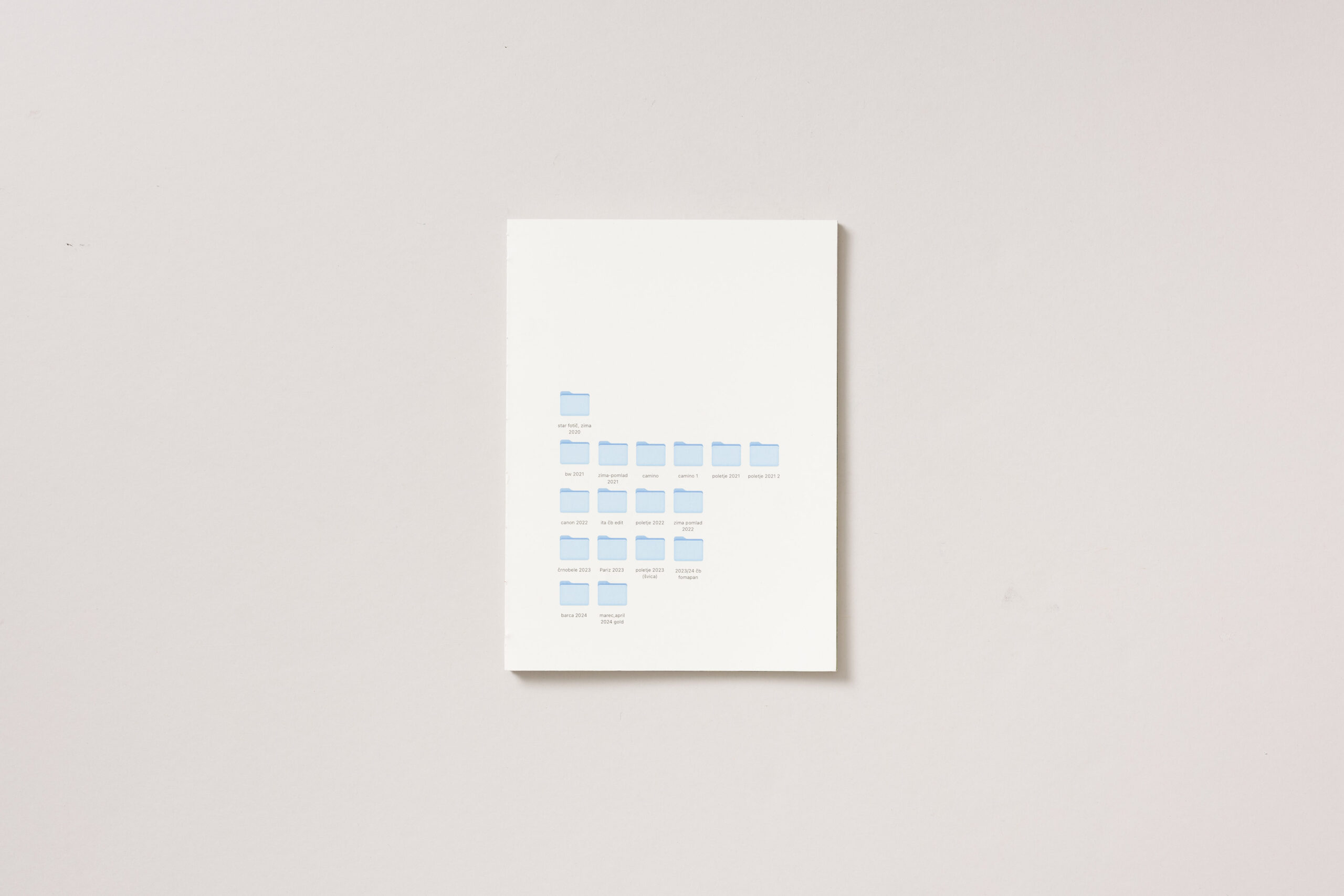 Ajda Justin: PROJEKT V NASTAJANJU