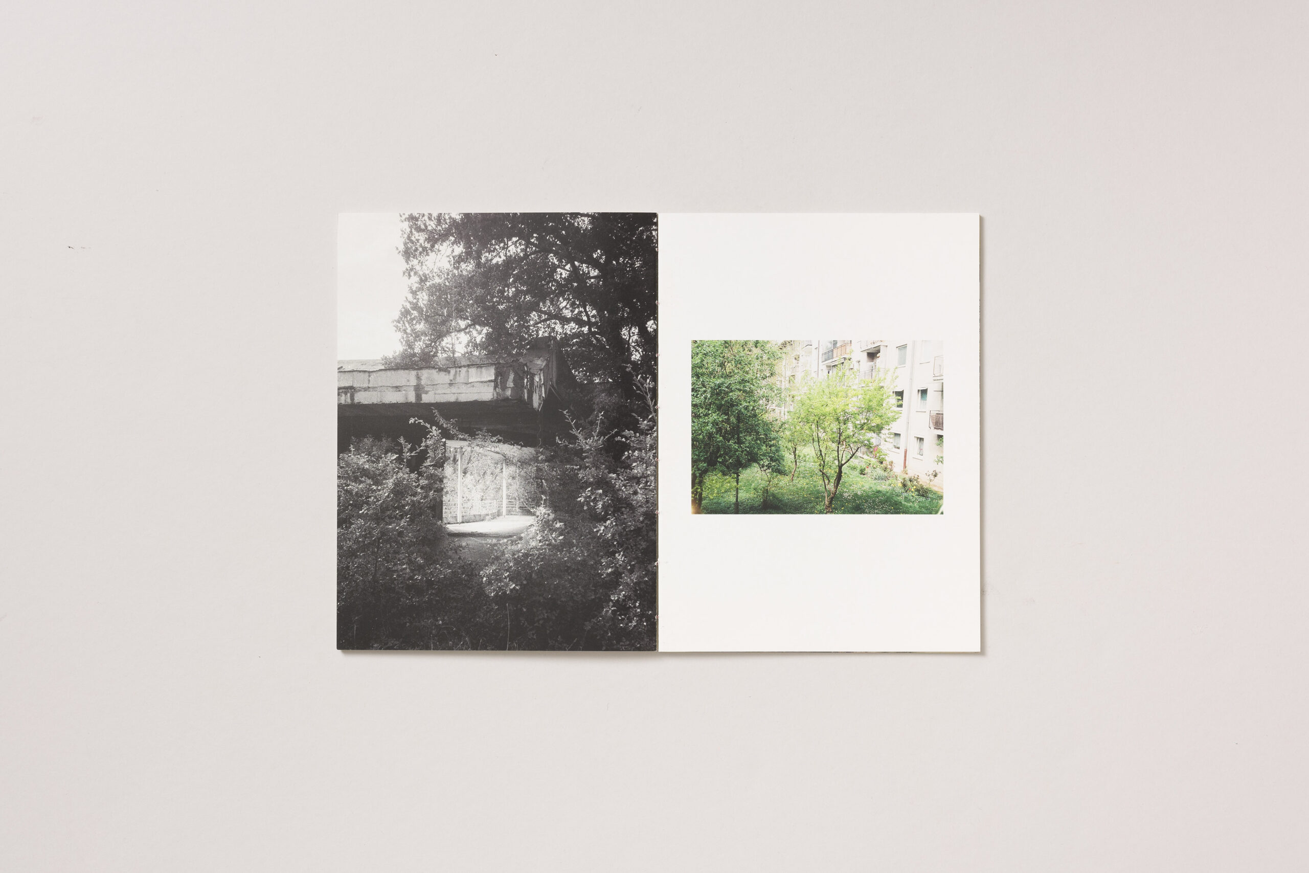 Ajda Justin: PROJEKT V NASTAJANJU - slika 4