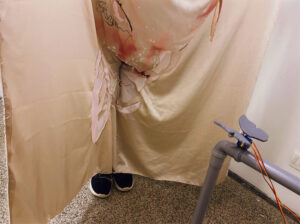 Ajda Podgorelec: Adijo prasice I