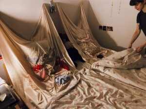 Ajda Podgorelec: Adijo prasice II