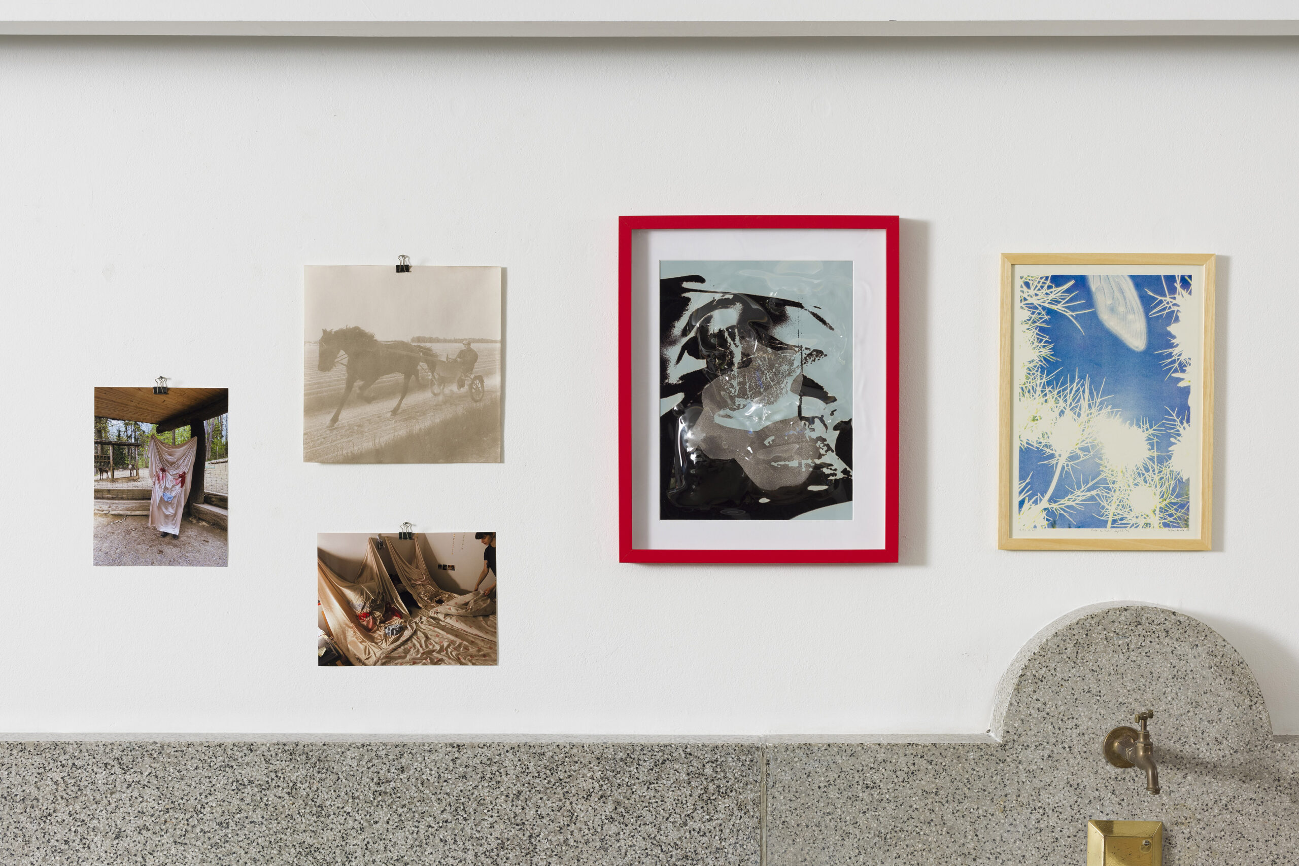 Ajda Podgorelec: Adijo prasice II - slika 2