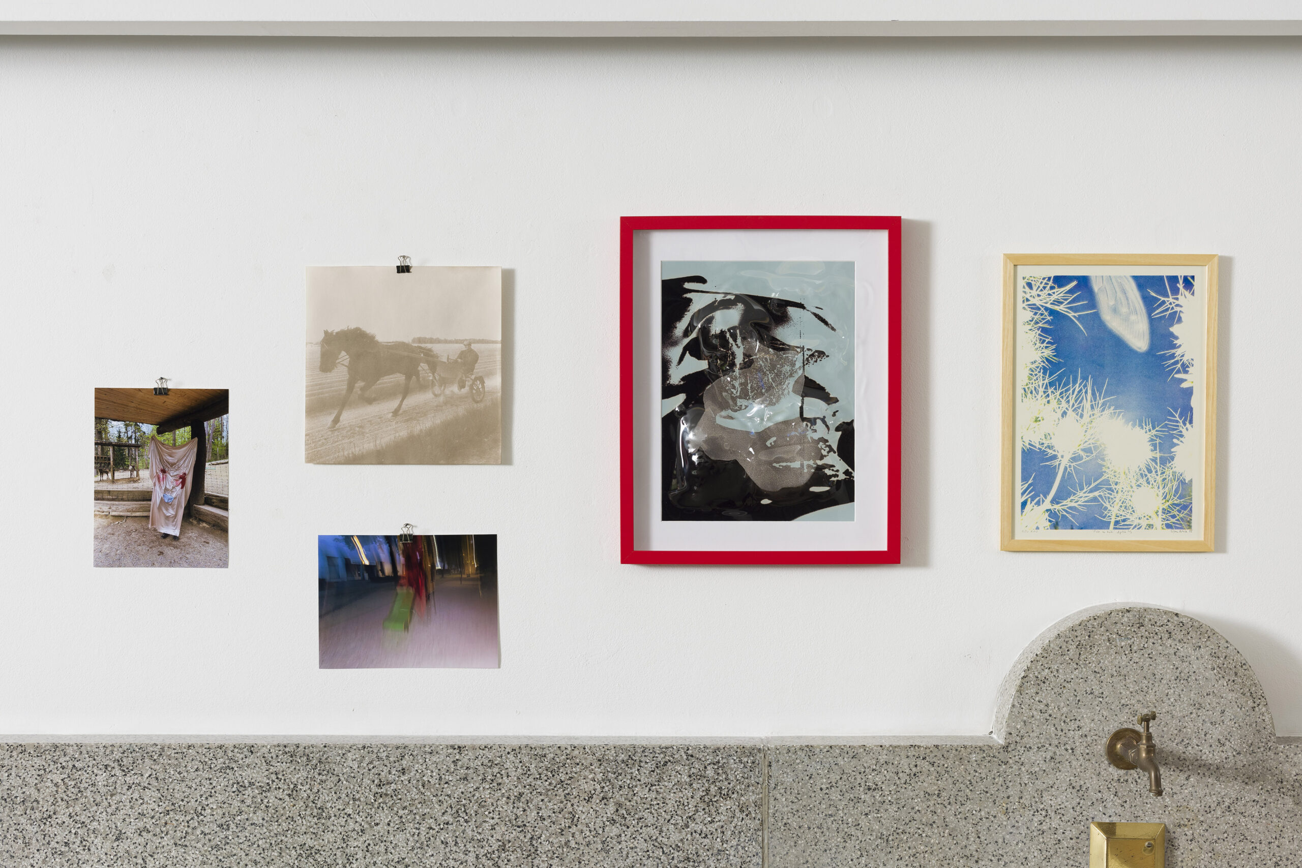 Ajda Podgorelec: Adijo prasice IV - slika 2