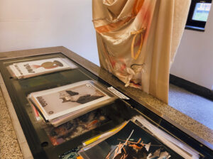 Ajda Podgorelec: Adijo prasice VI