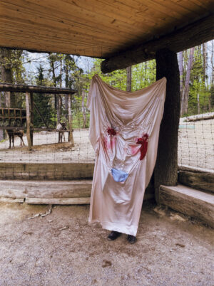 Ajda Podgorelec: Adijo prasice VII