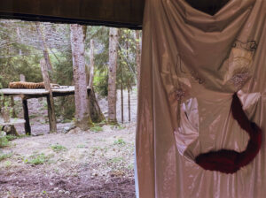 Ajda Podgorelec: Adijo prasice VIII