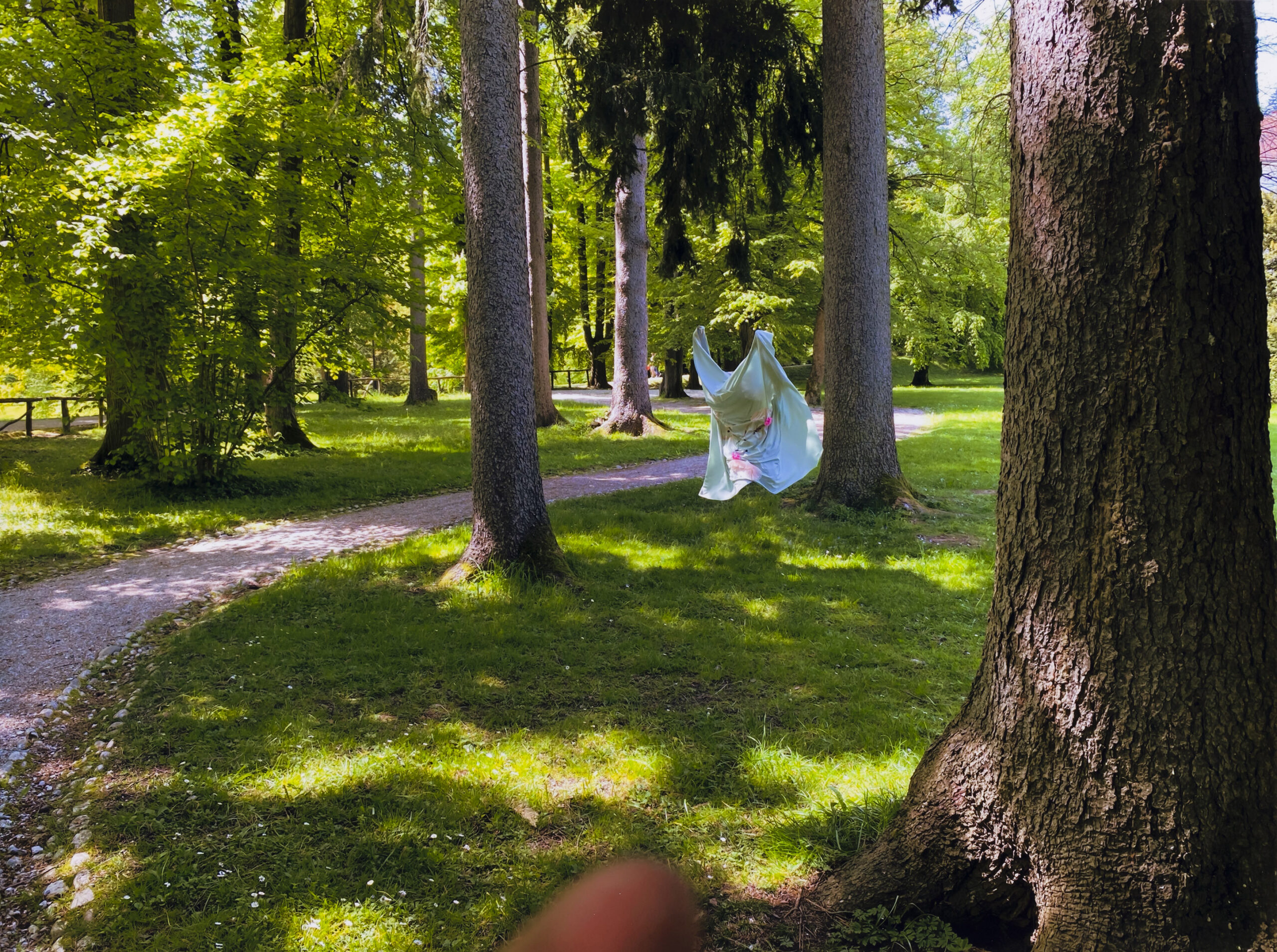 Ajda Podgorelec: Adijo prasice XI