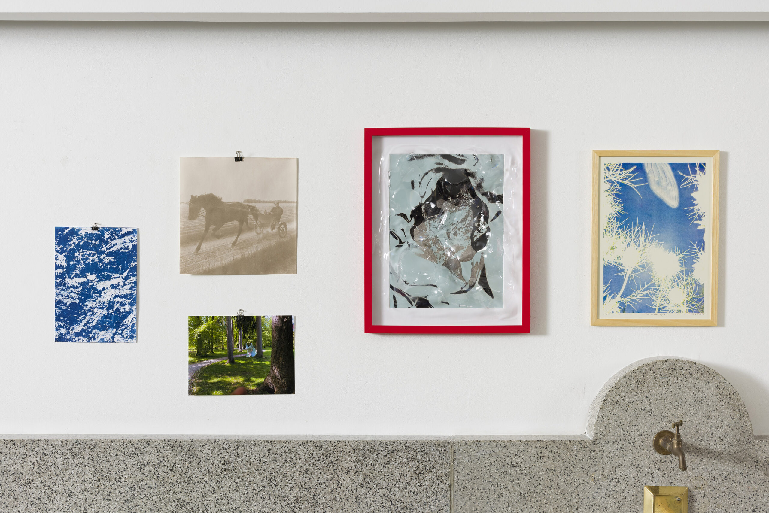 Ajda Podgorelec: Adijo prasice XI - slika 2