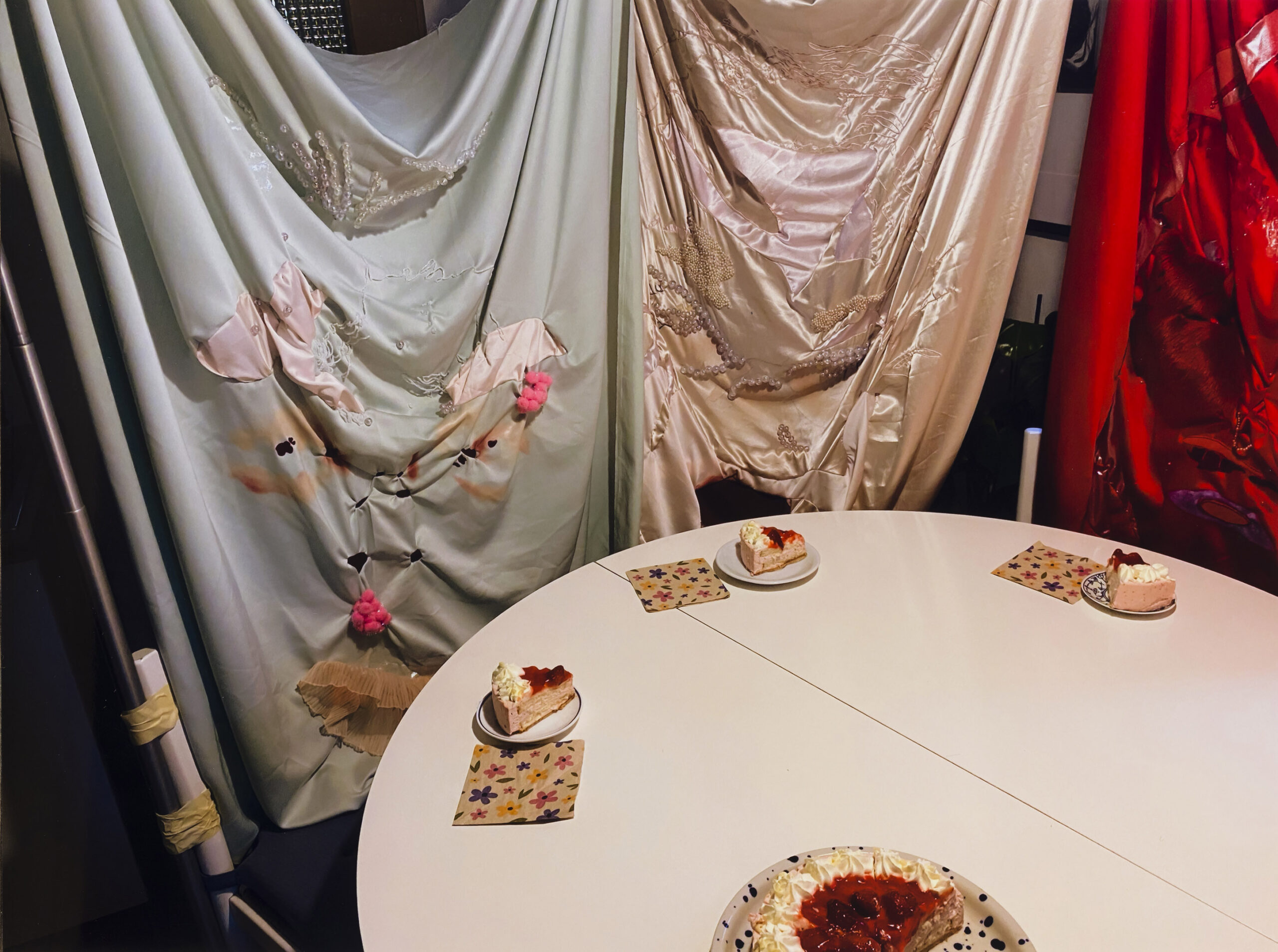 Ajda Podgorelec: Adijo prasice XII