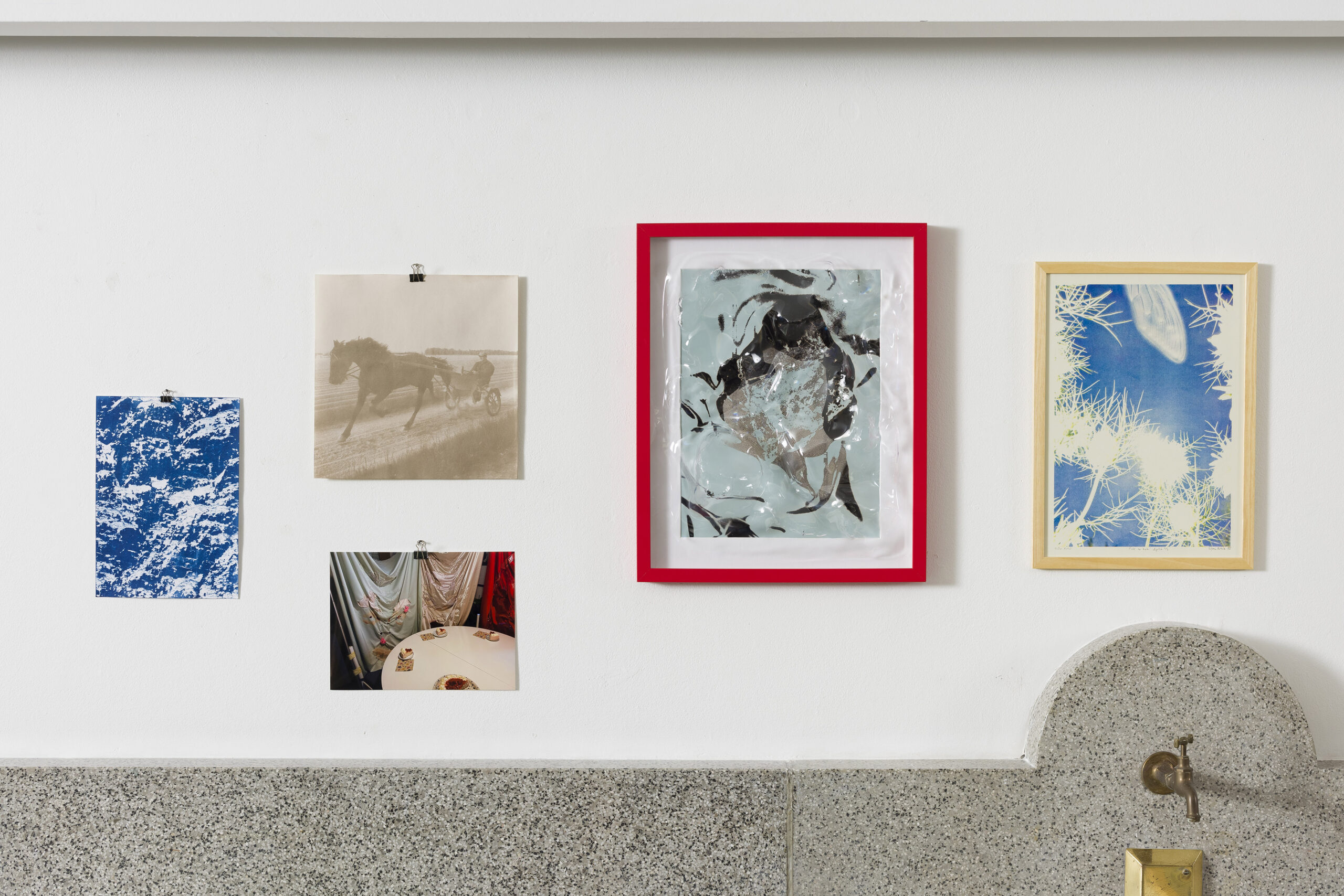 Ajda Podgorelec: Adijo prasice XII - slika 2