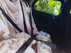 Ajda Podgorelec: Adijo prasice XIII