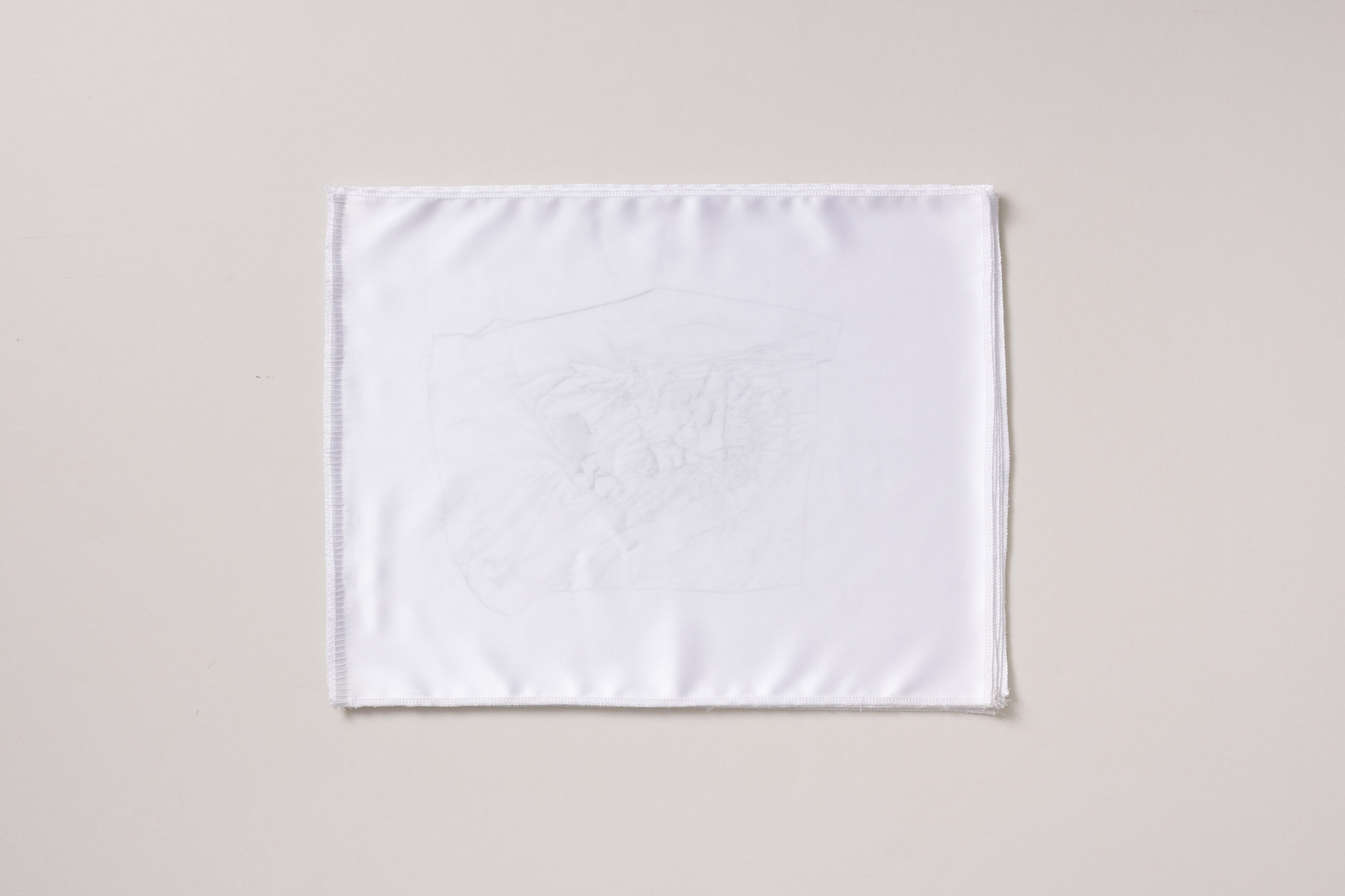 Ajda Podgorelec: Sestava prasice