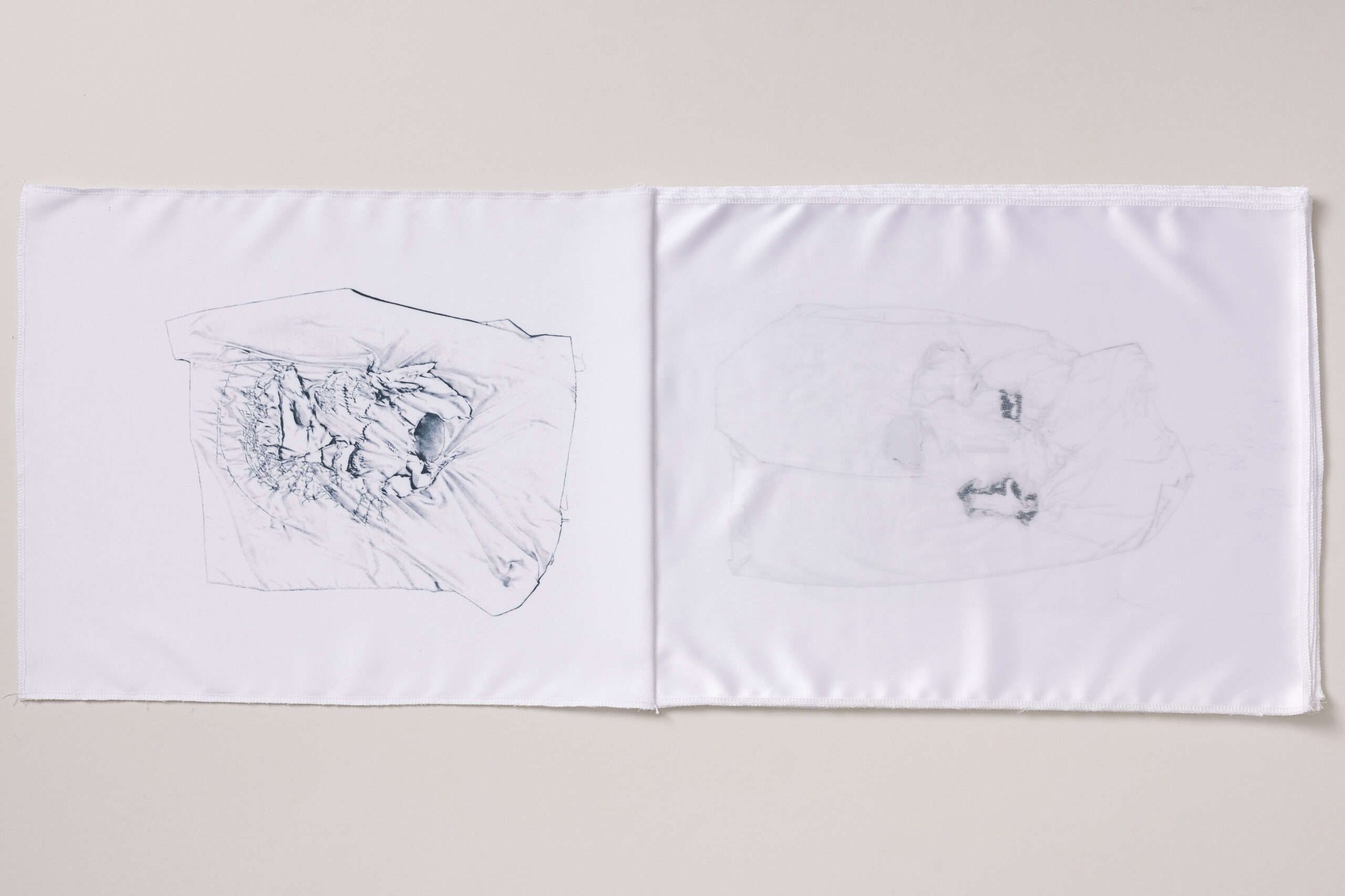 Ajda Podgorelec: Sestava prasice - slika 2