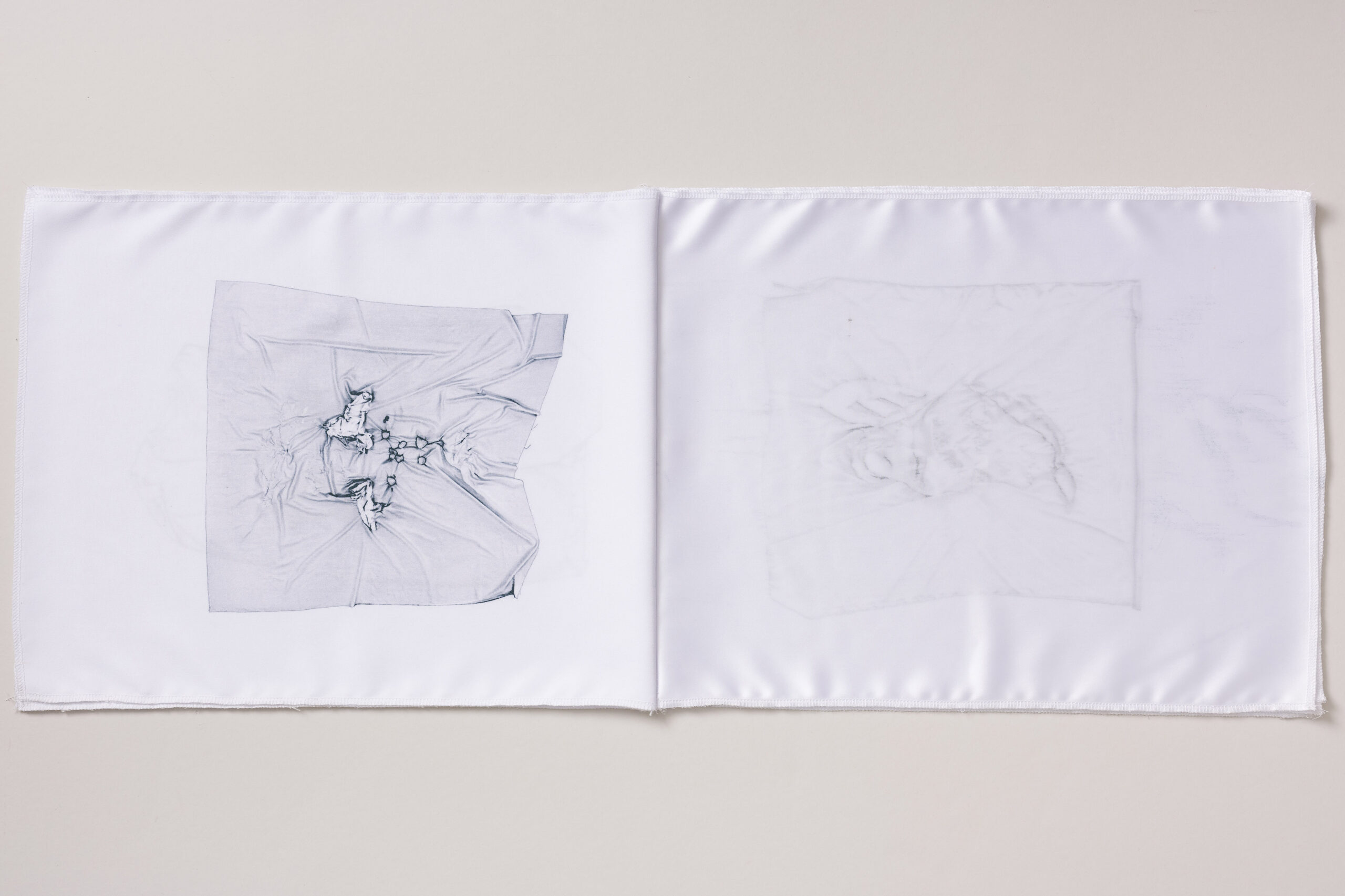 Ajda Podgorelec: Sestava prasice - slika 3