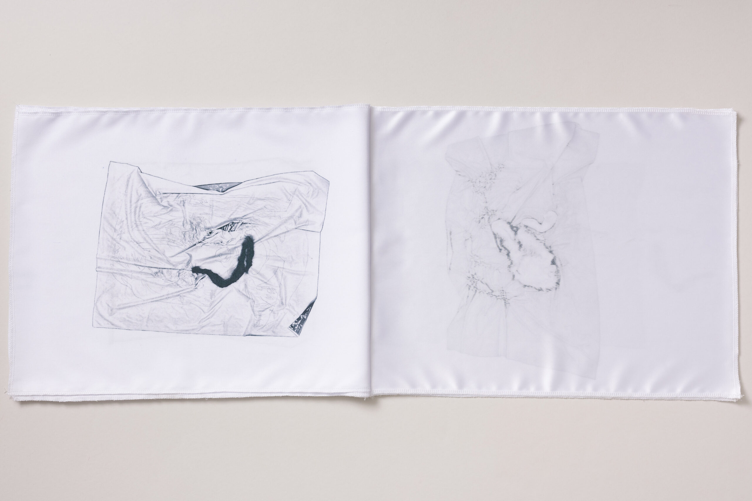 Ajda Podgorelec: Sestava prasice - slika 4