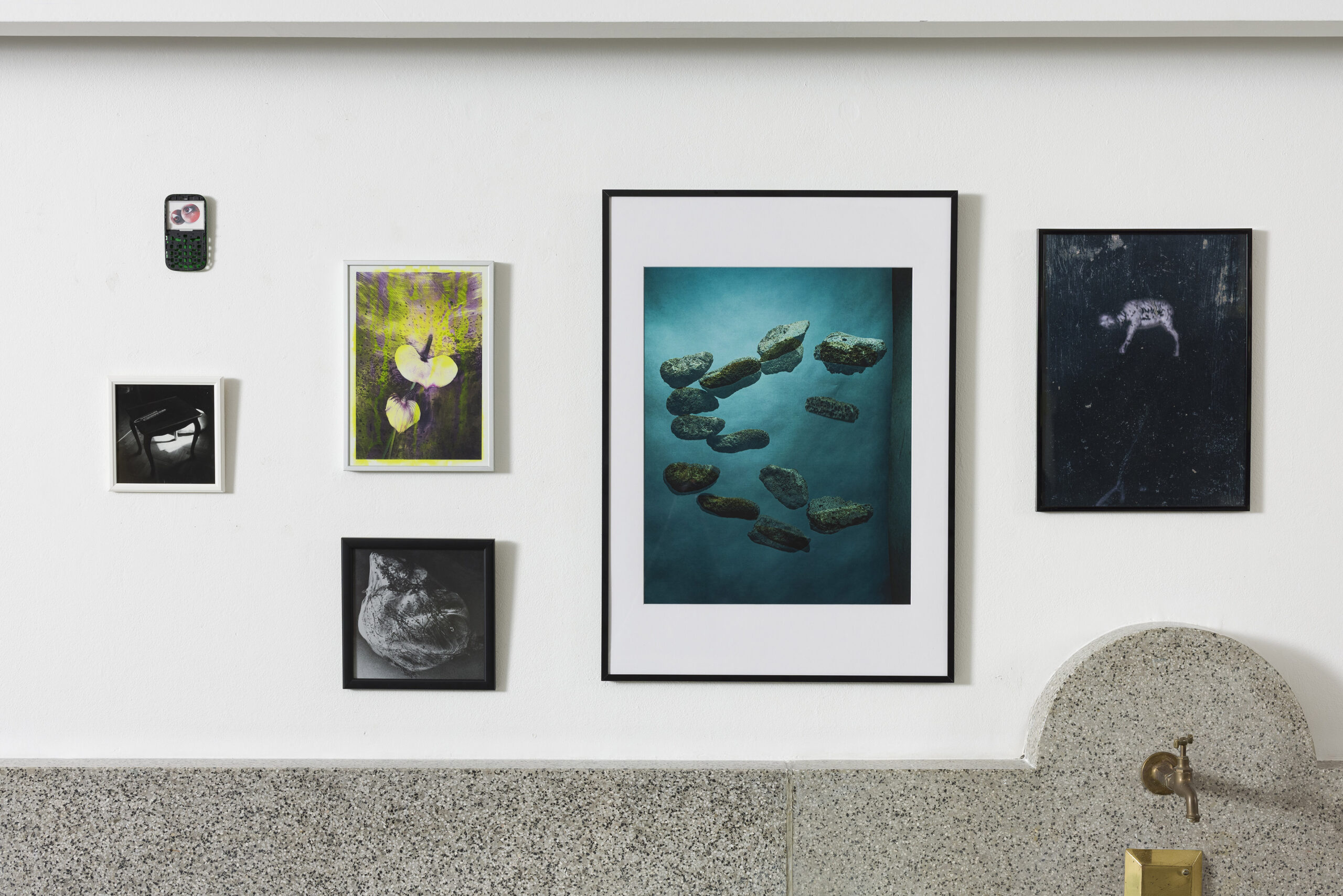 Asiana Jurca Avci: Neon Calla (z okvirjem) - slika 2